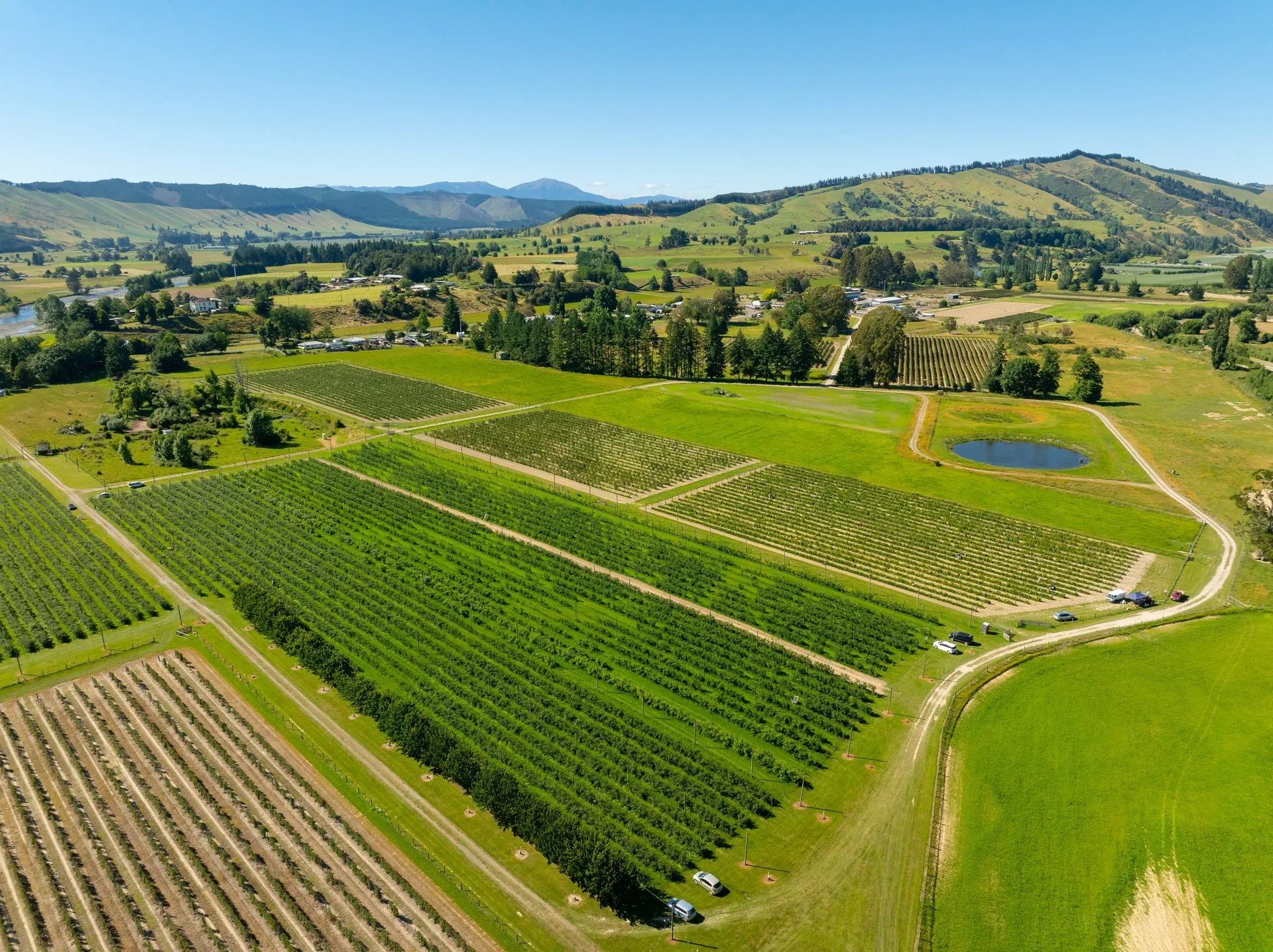 160 Tadmor Valley Road (74 of 161)_1920px.jpg