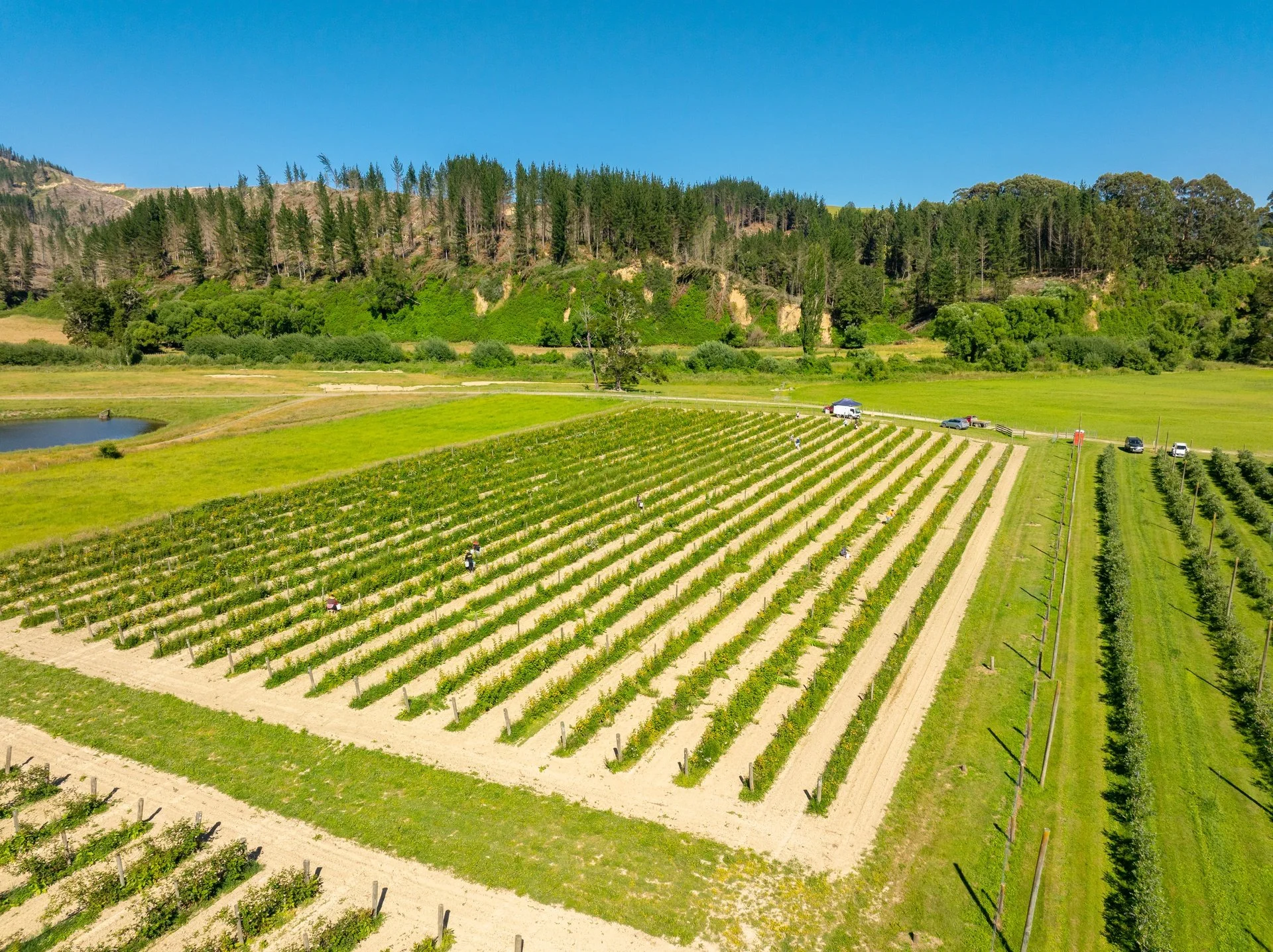 160 Tadmor Valley Road (76 of 161)_1920px.jpg