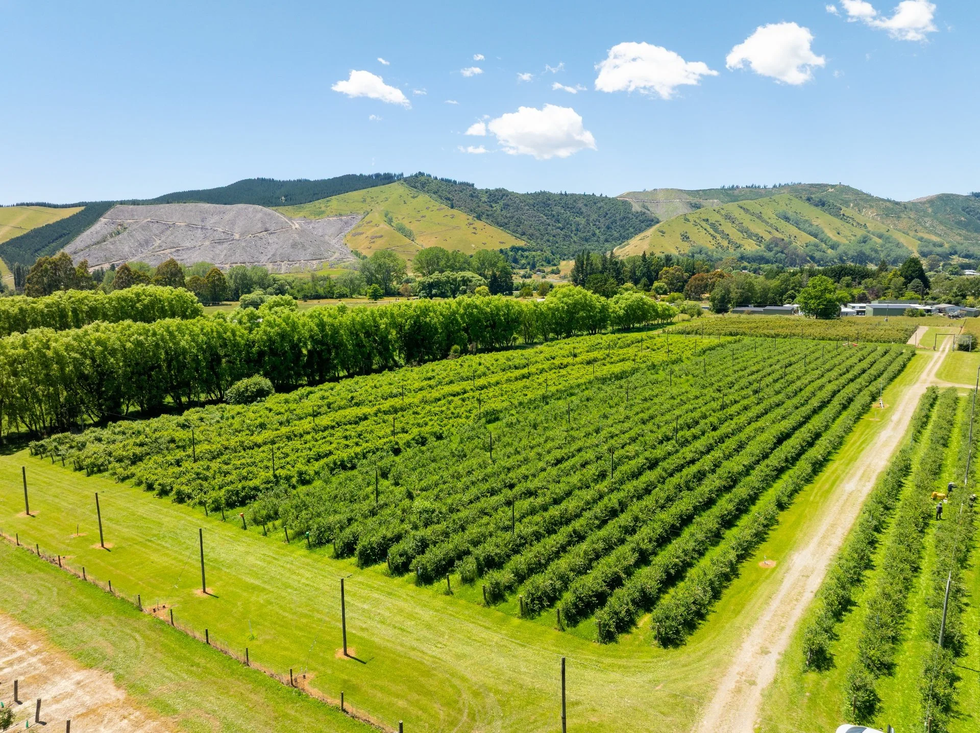 160 Tadmor Valley Road (114 of 161)_1920px.jpg