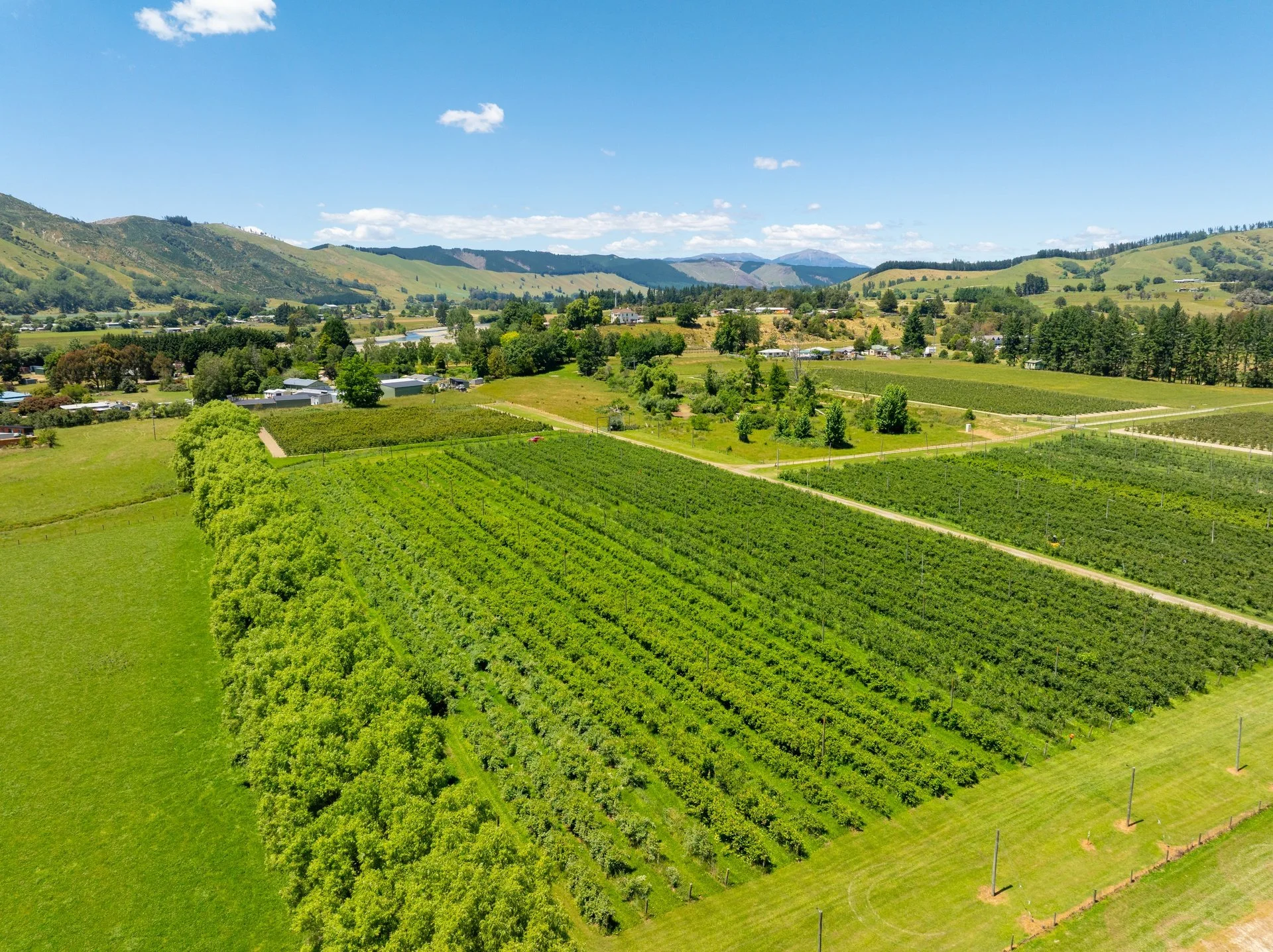 160 Tadmor Valley Road (115 of 161)_1920px.jpg