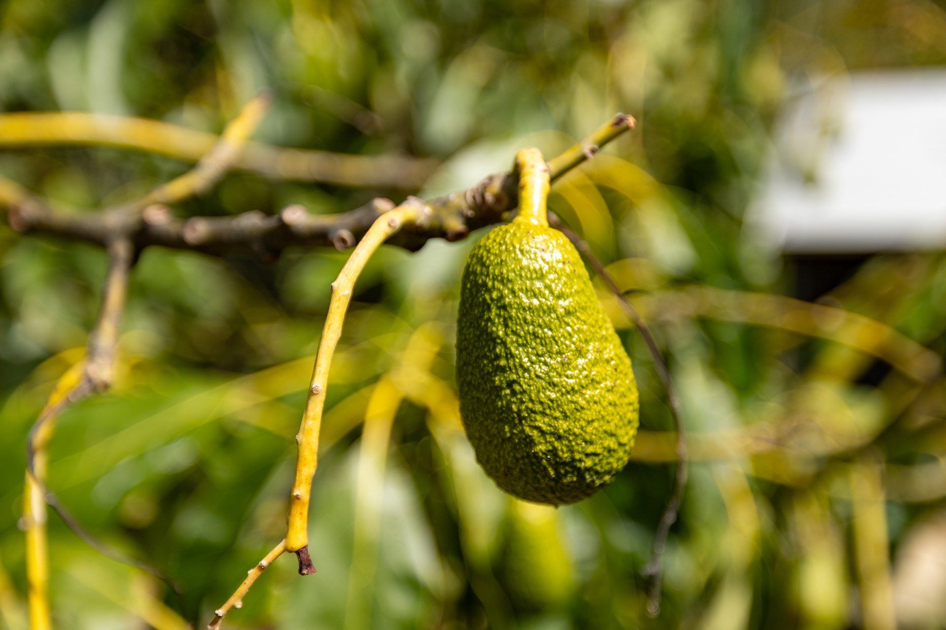 177C Cabel Bay Rd (51 of 85)_1920px.jpg