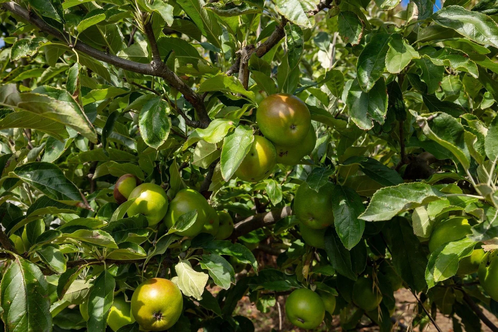 177C Cabel Bay Rd (52 of 85)_1920px.jpg