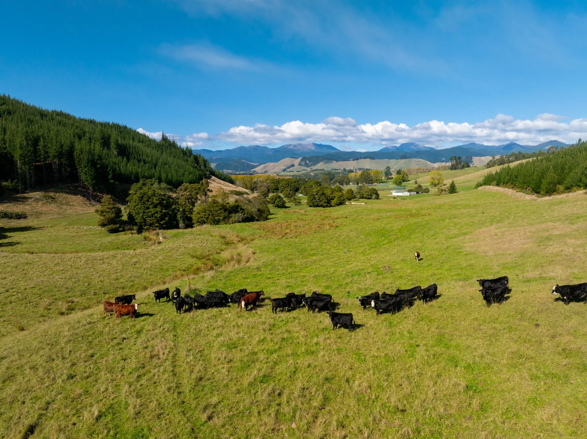 229 Teapot Valley (27 of 81)_1920px.jpg