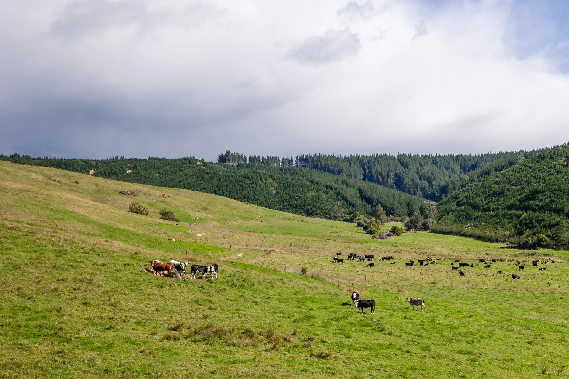 229 Teapot Valley (59 of 81)_1920px.jpg
