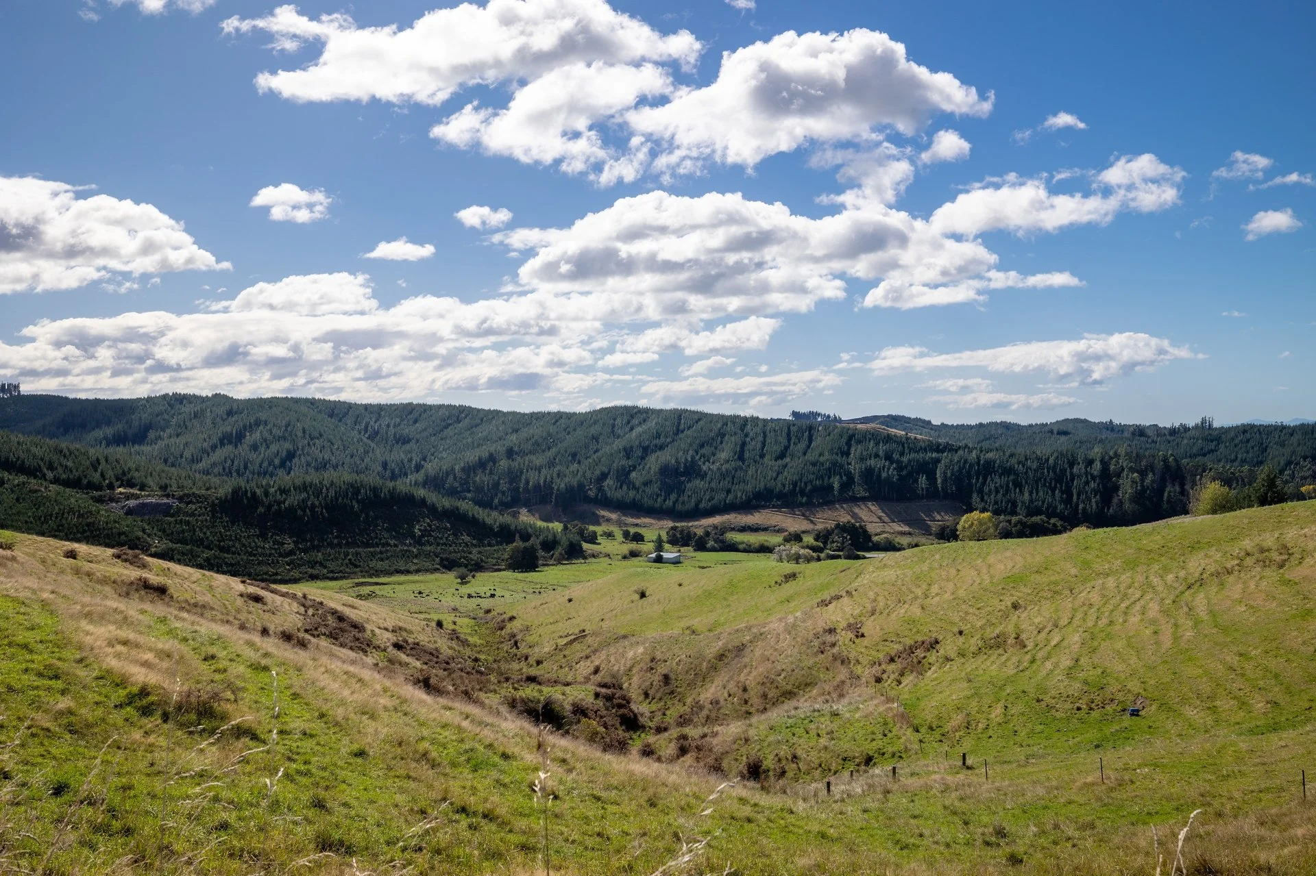 229 Teapot Valley (62 of 81)_1920px.jpg