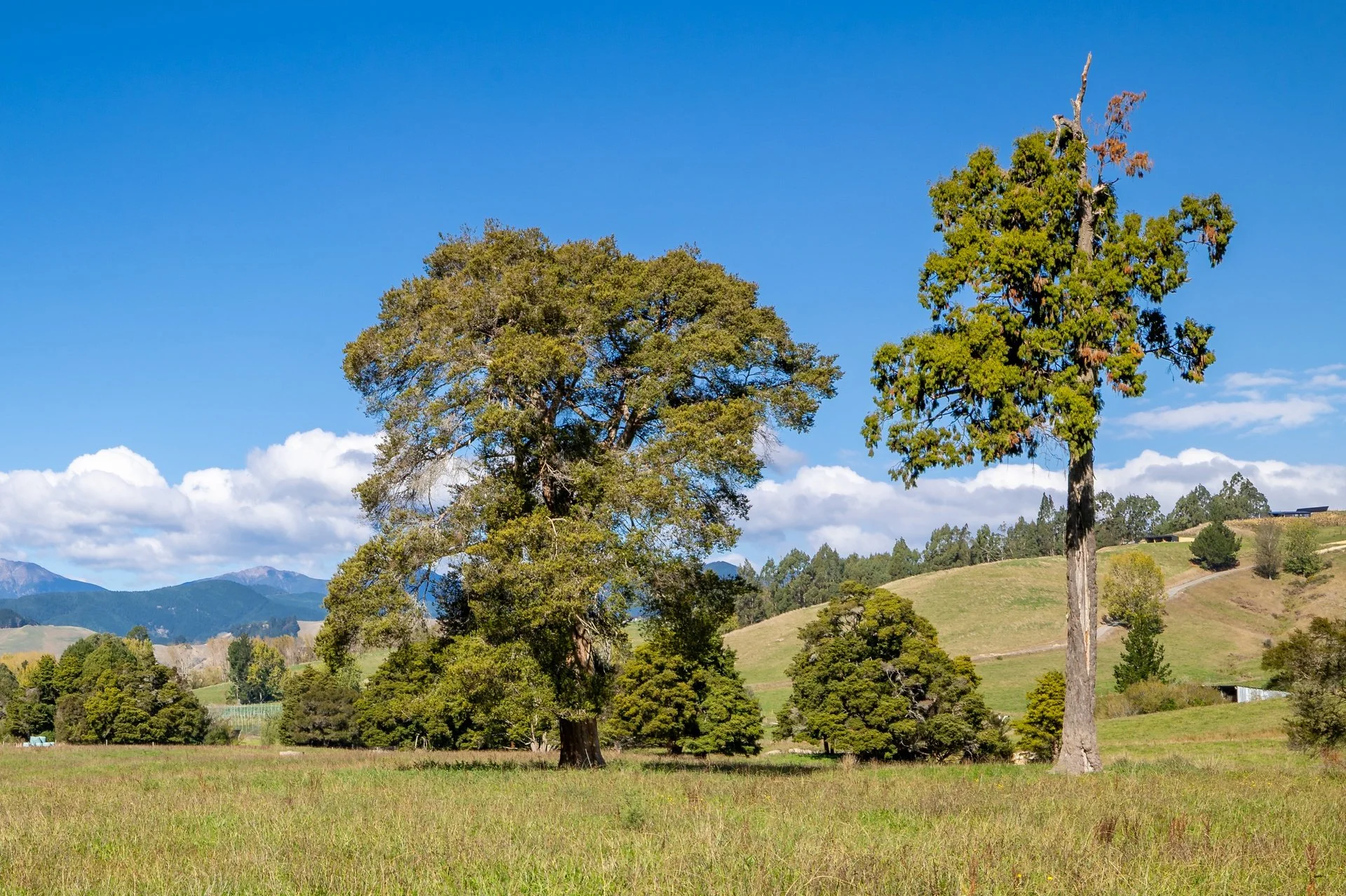 229 Teapot Valley (71 of 81)_1920px.jpg