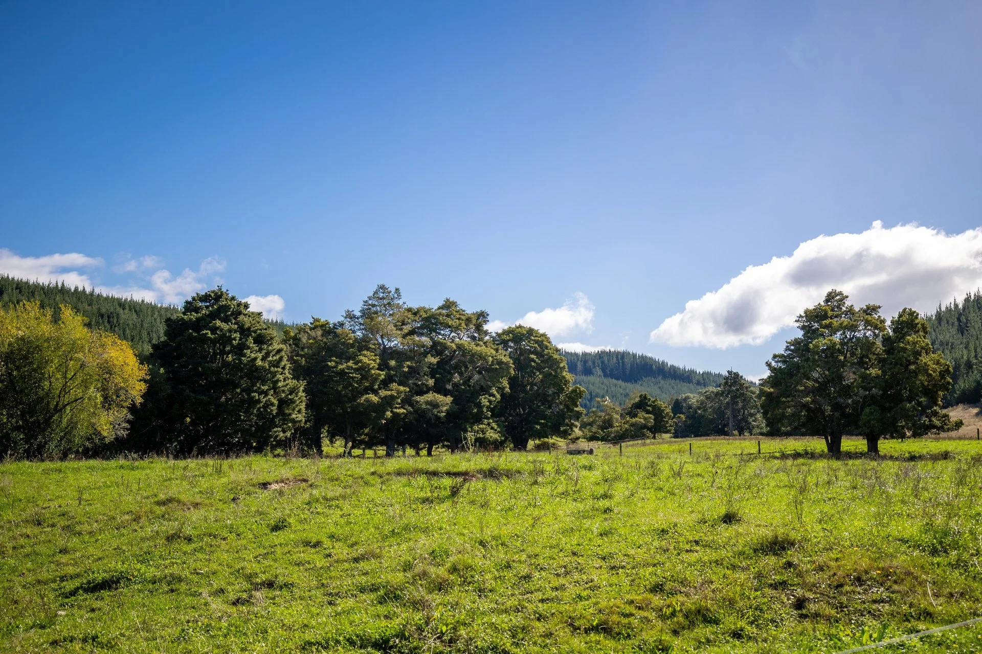 229 Teapot Valley (77 of 81)_1920px.jpg