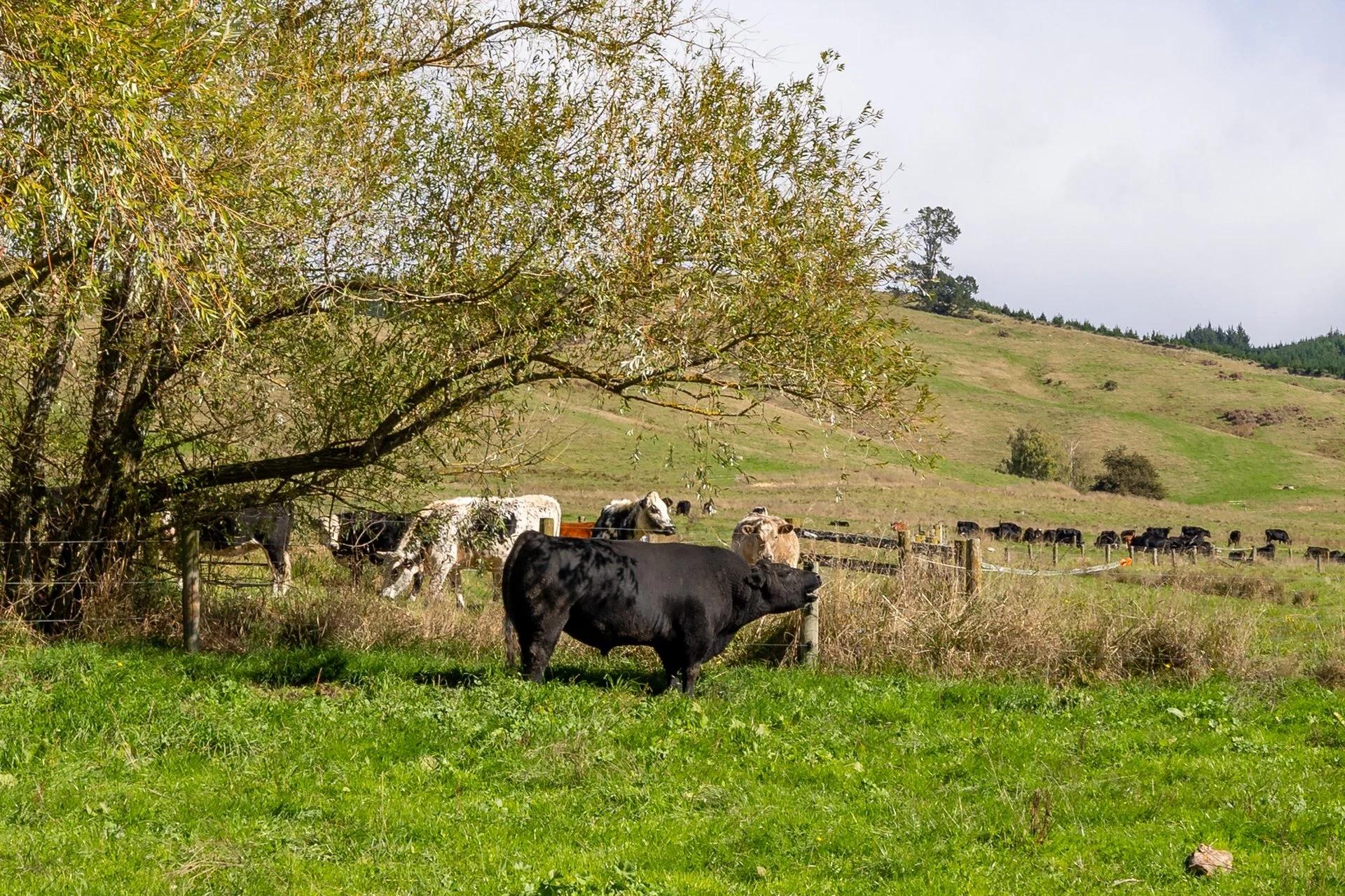 229 Teapot Valley (78 of 81)_1920px.jpg