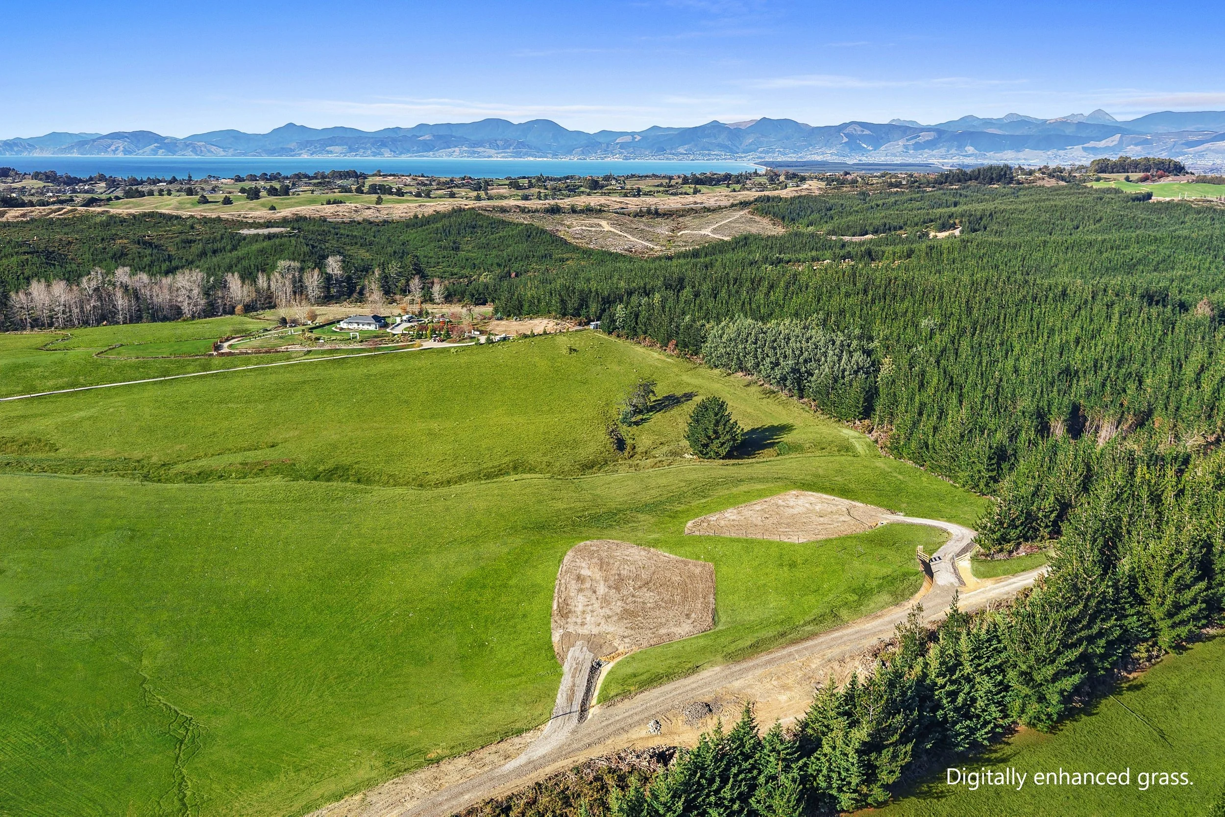 058_Open2view_ID608902-232_Tasman_View_Road Digitally Enhanced Grass 1.jpg