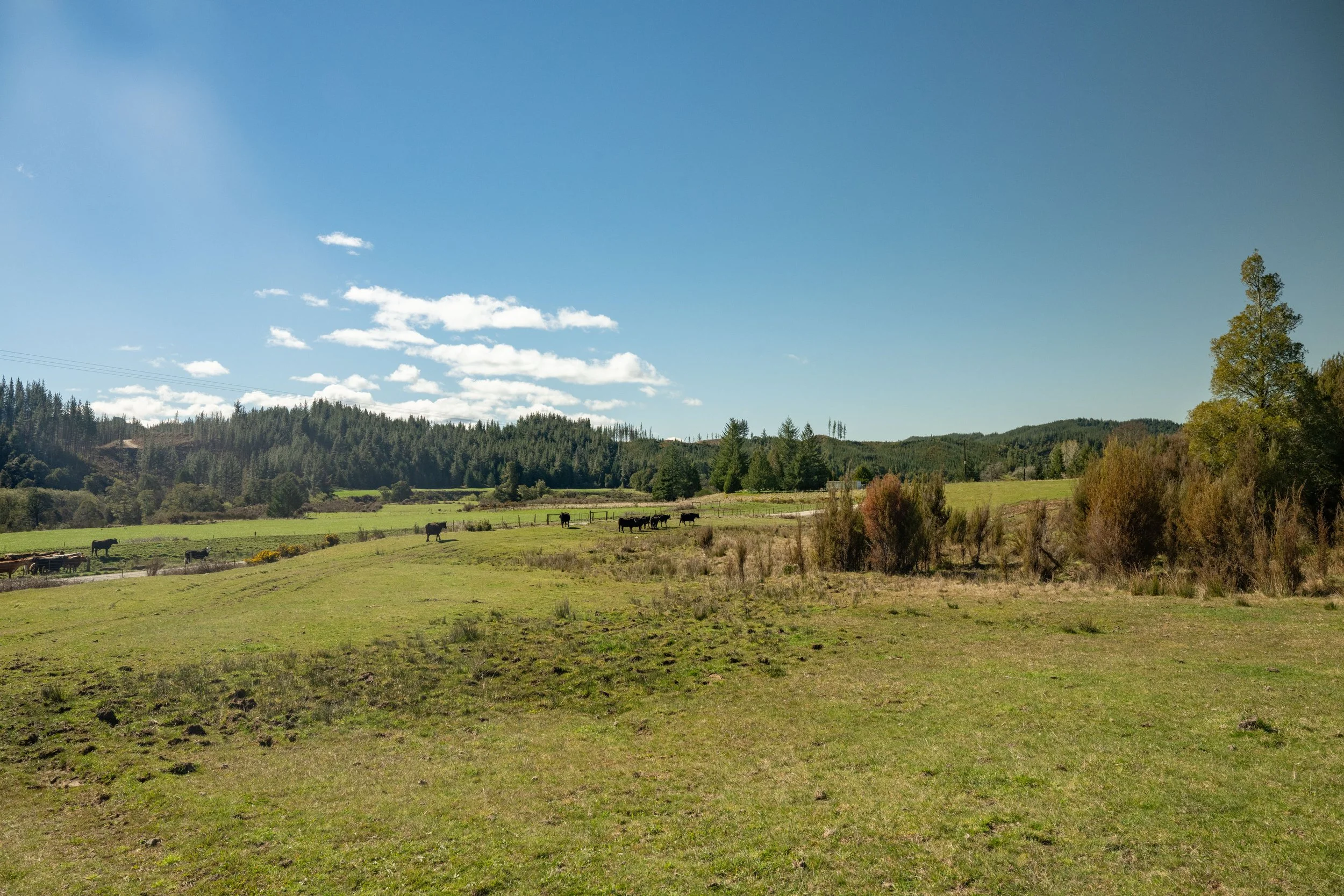 Tadmoor Toby 028.jpg