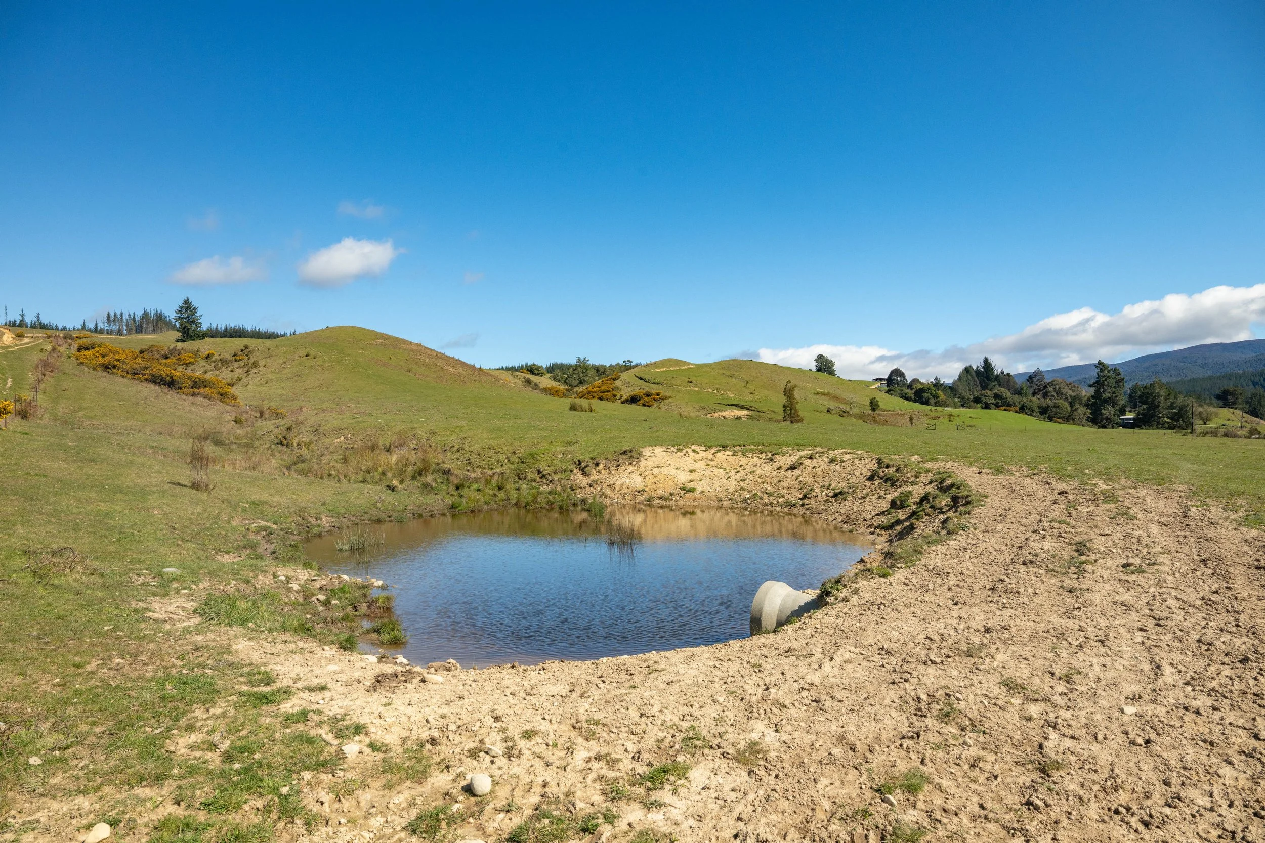 Tadmoor Toby 029.jpg