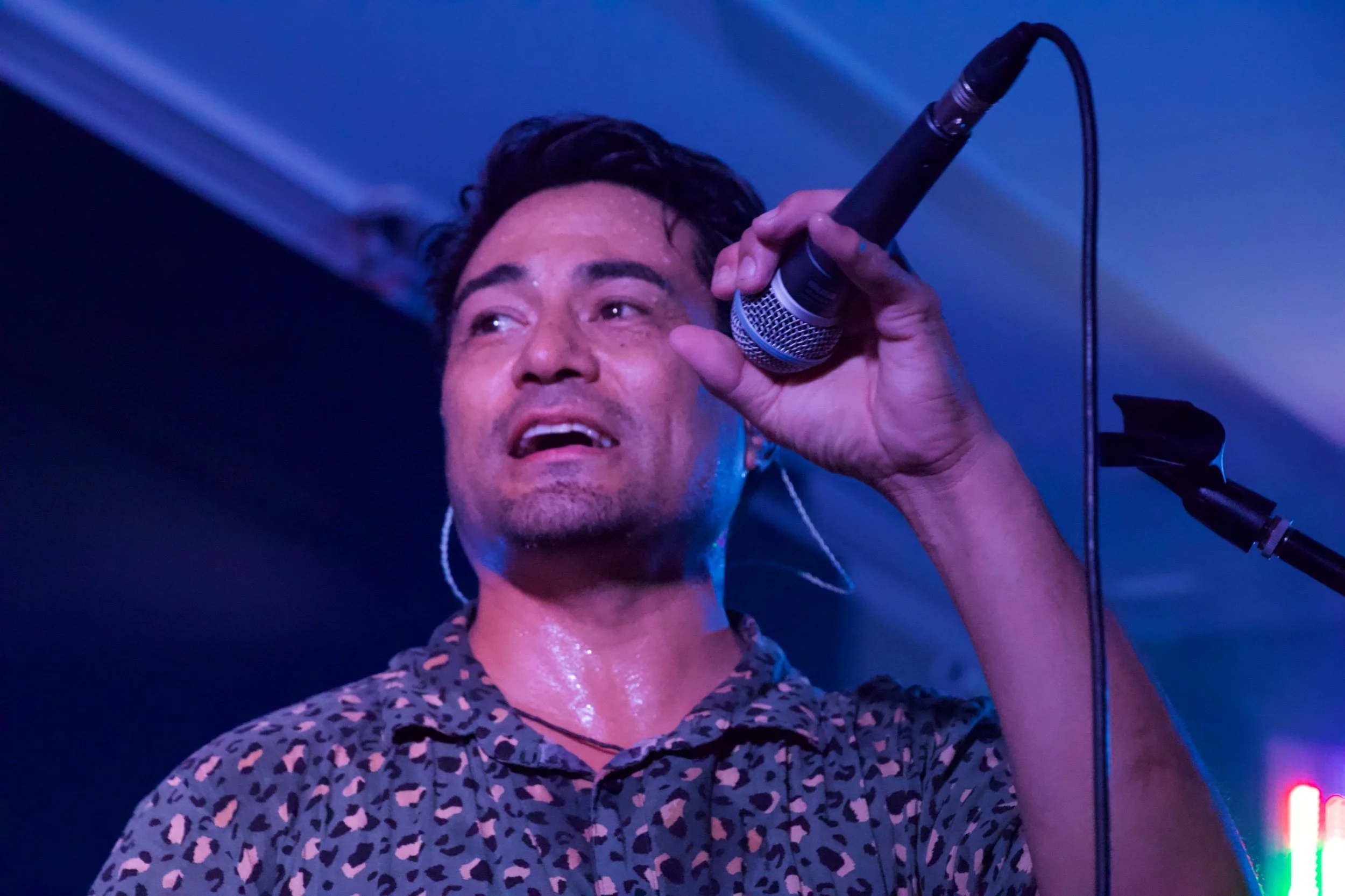 img_0981 - copy.jpeg