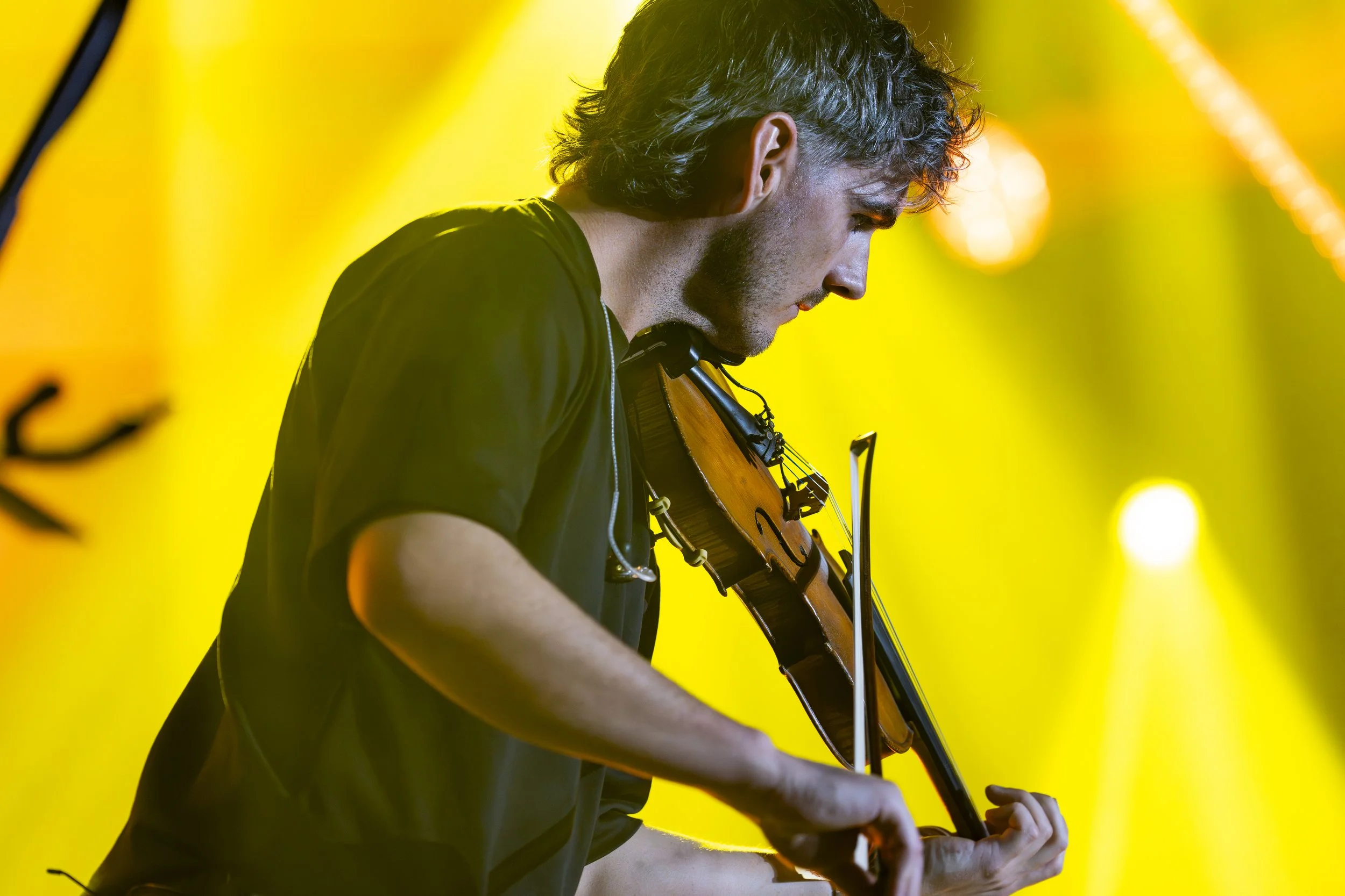 Elephant Sessions-9.jpg