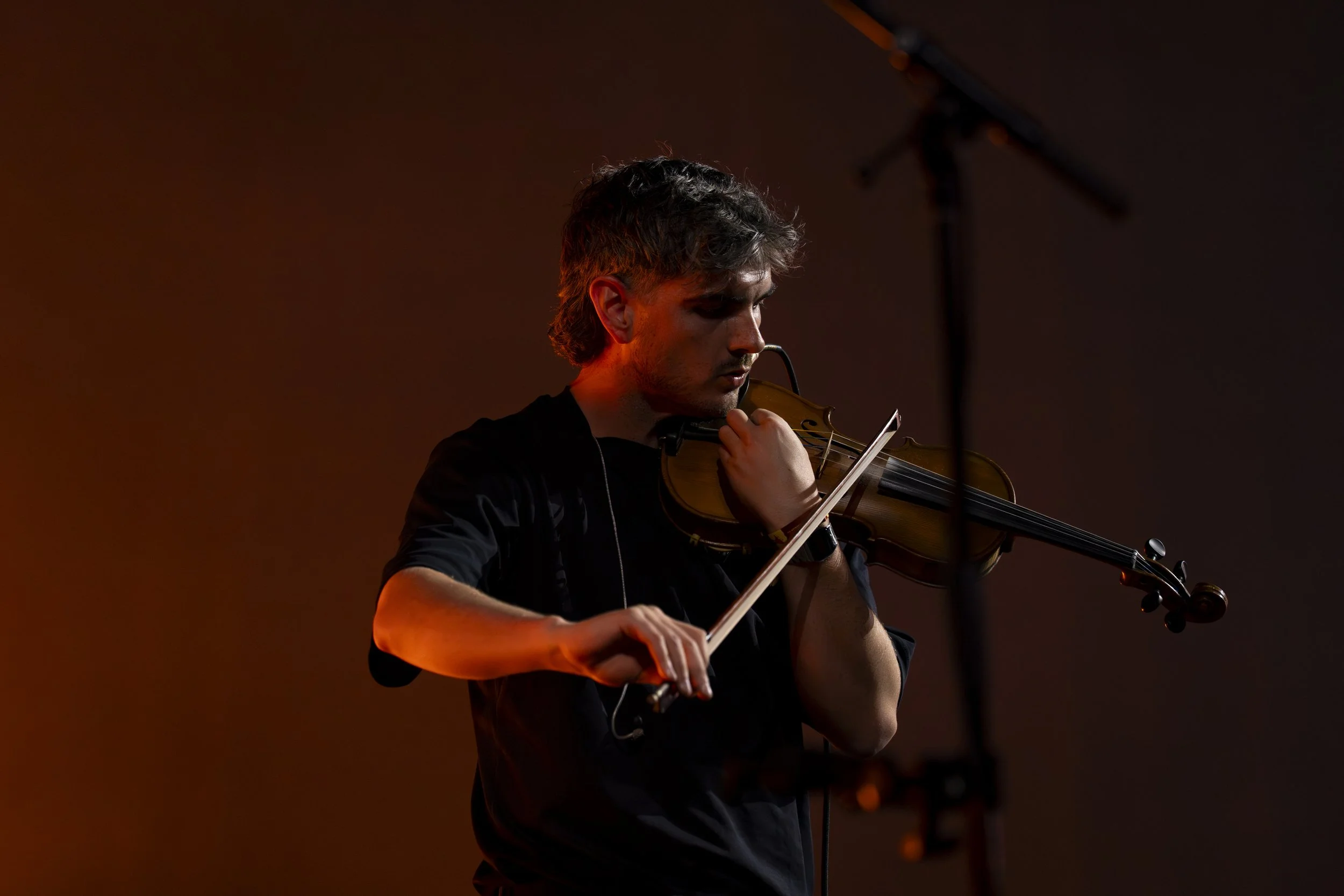 Elephant Sessions-2.jpg