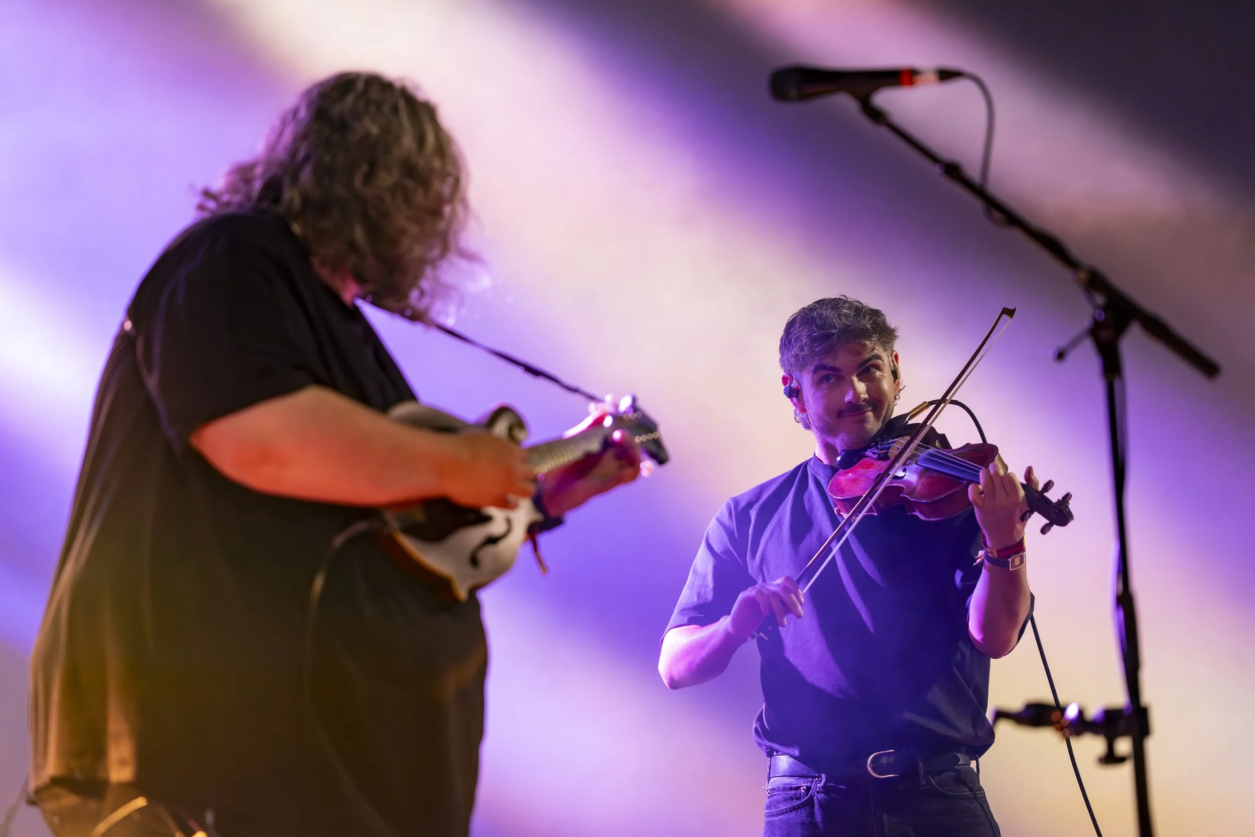 Elephant Sessions-8.jpg