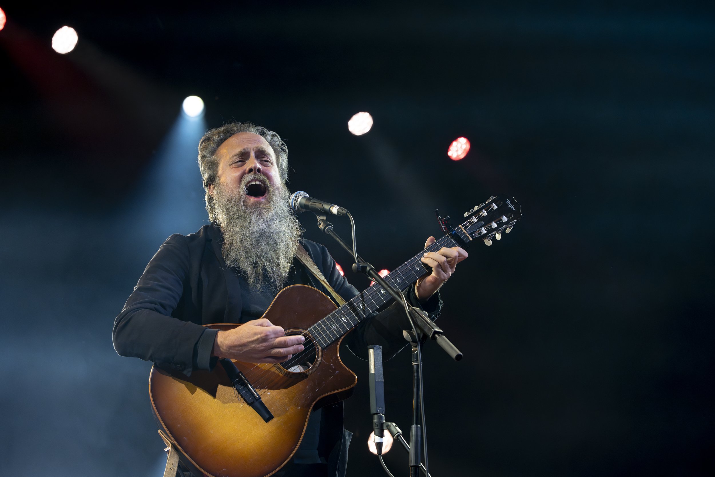 Iron & Wine-4.jpg