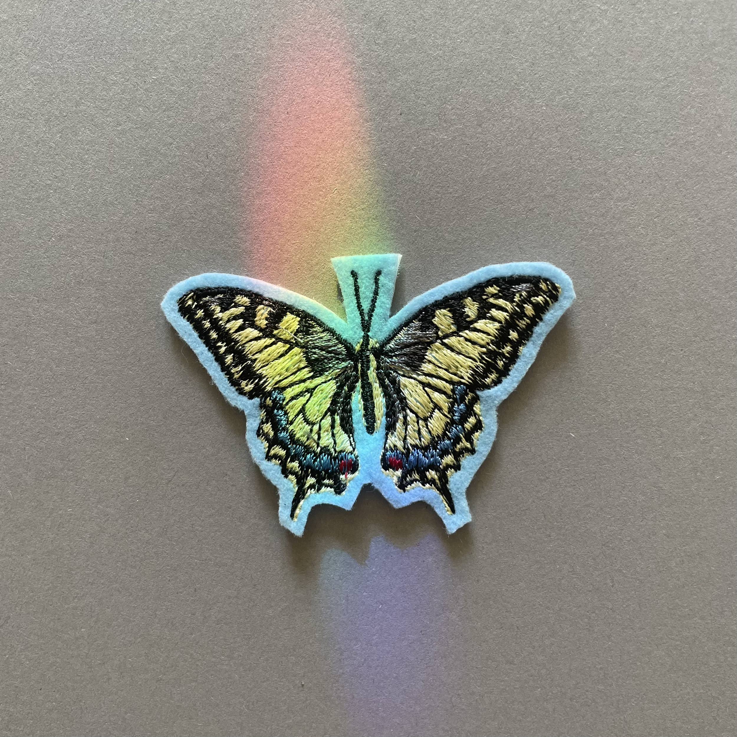 Schwalbenschwanz 🦋