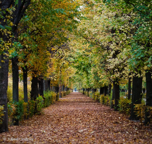 Schönbrunn15.jpg