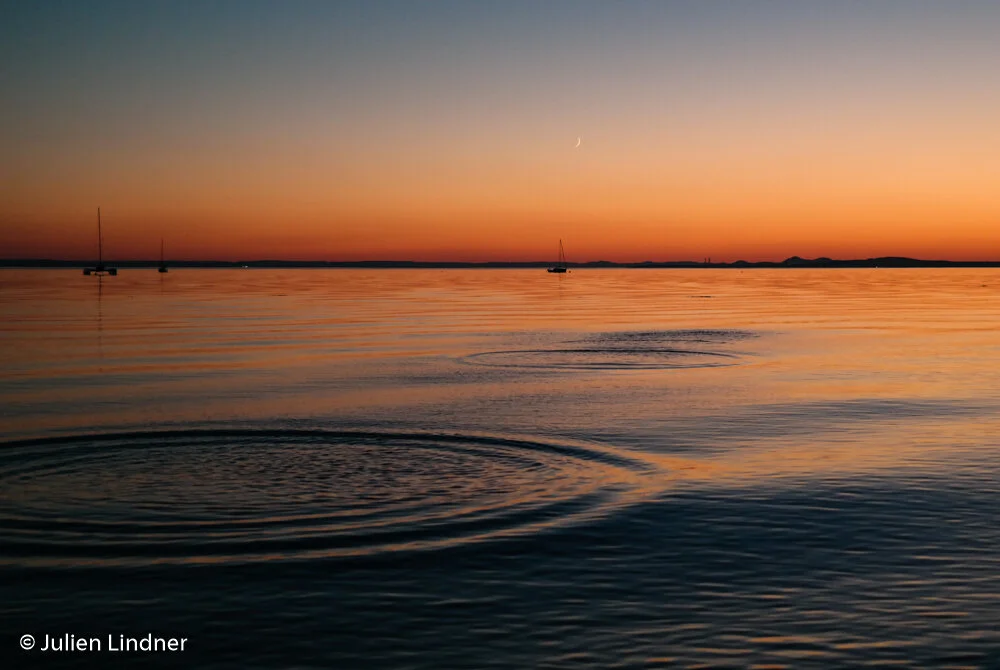 "Nature photographer of the year"