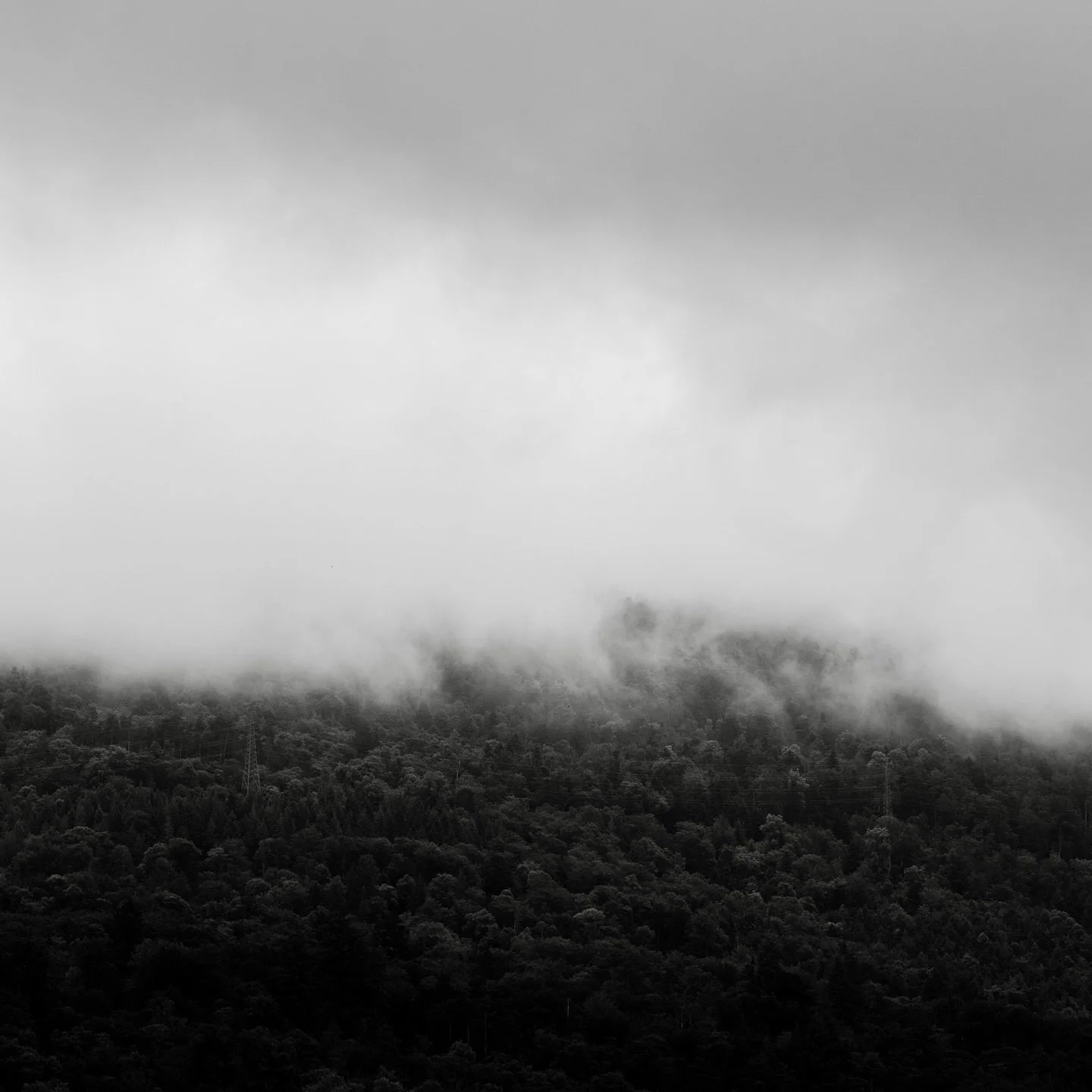 Impressions de Romandie 🇨🇭
.
.
Suisse / Switzerland (2024)
.
.
www.julienlindner.com
.
.
#bnw #blackandwhitephotography #landscapephotography #landscape #minimalism #switzerland #suisse #romandie #lausanne #neuchatel