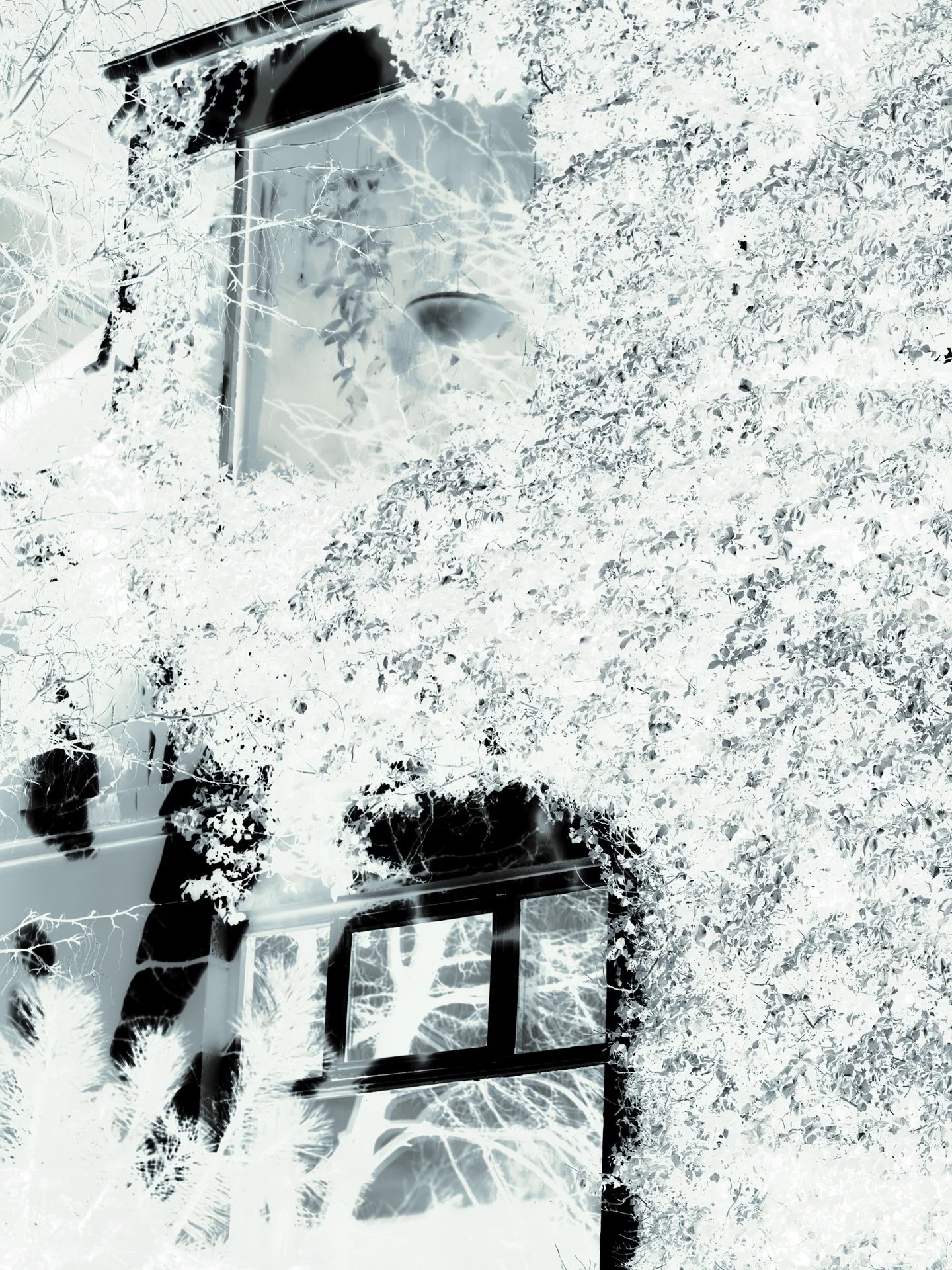 DSCF1350-jpeg small.jpg