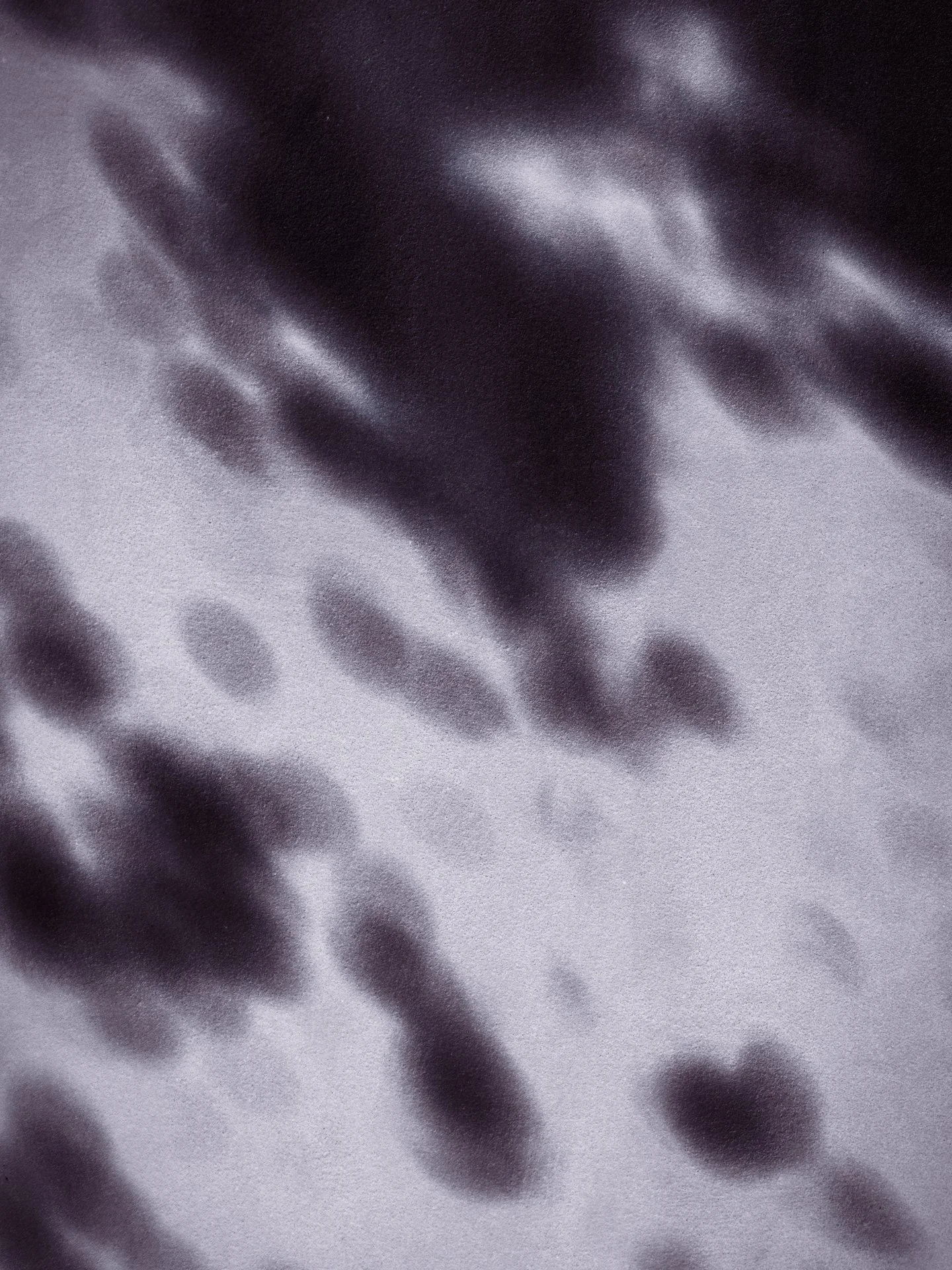 DSCF3328.jpg