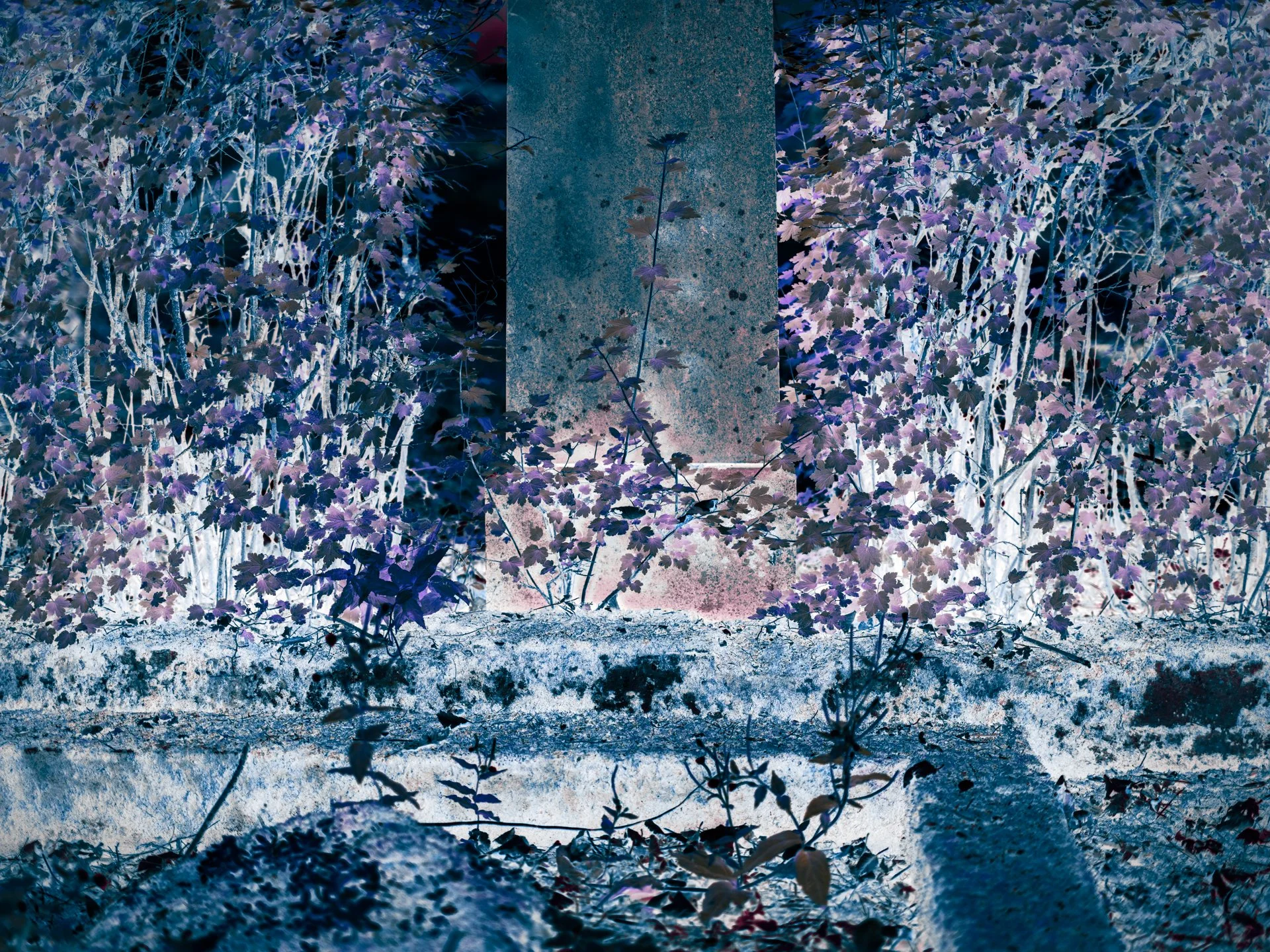 DSCF3245.jpg