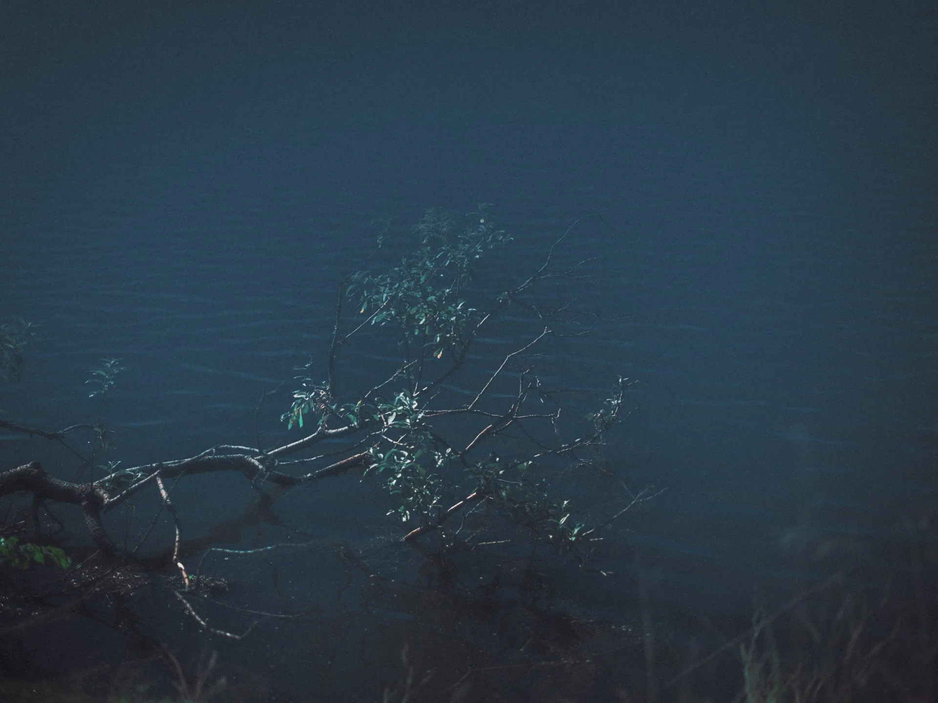 DSCF3212.jpg