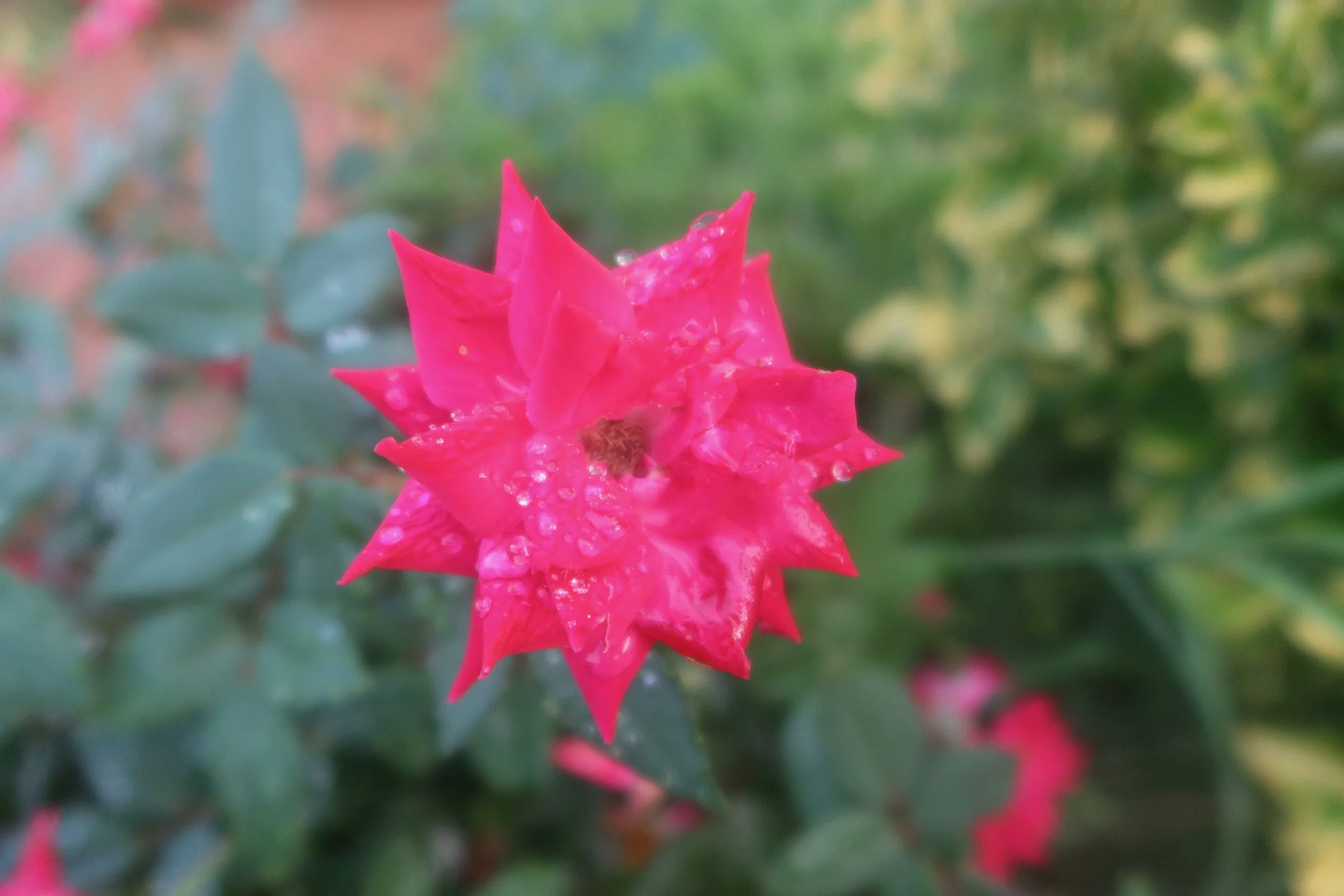 Feeling For The Love