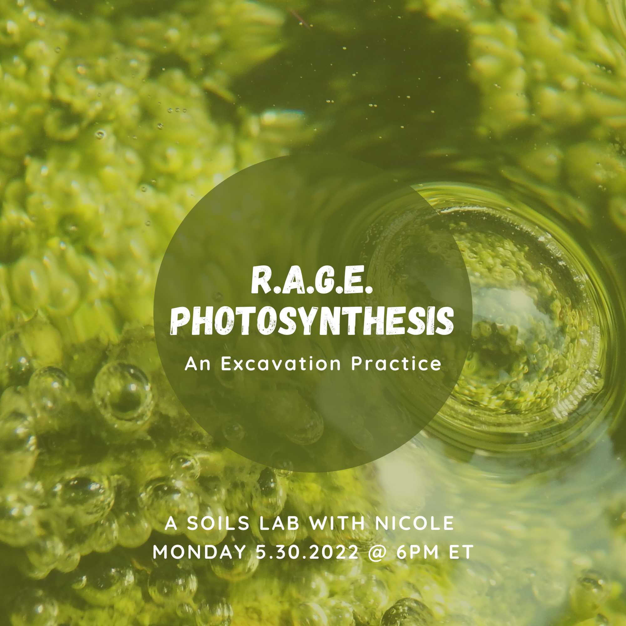 Soils Lab w/ Nicole: R.A.G.E. Photosynthesis: An Excavation Practice