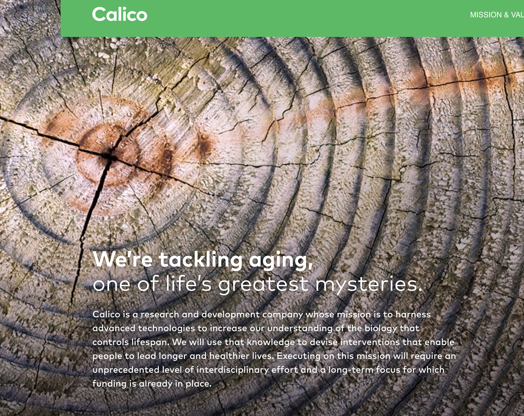 Screen Shot 2019-09-16 at 01.06.10.png