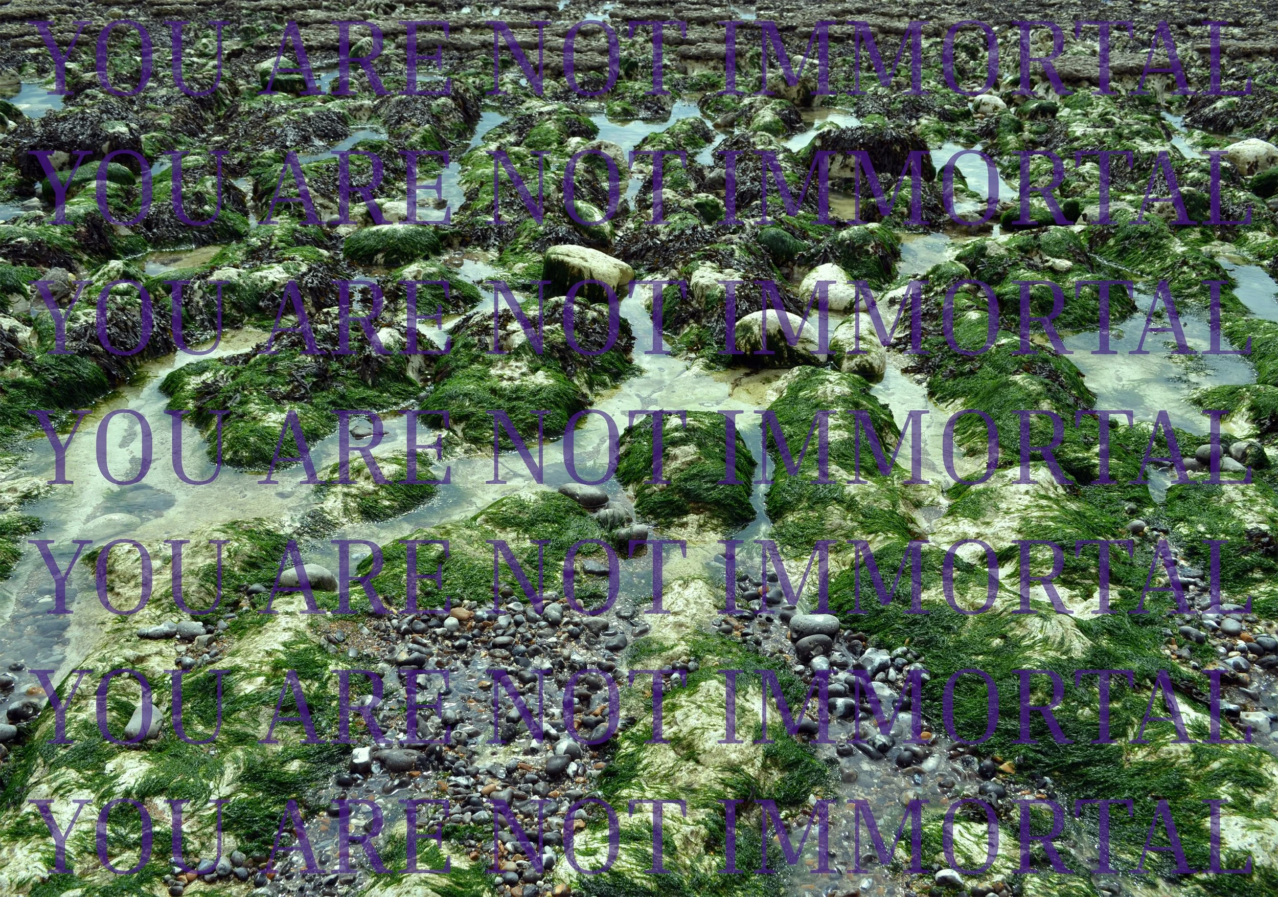 YOU ARE NOT IMMORTAL 3.jpg