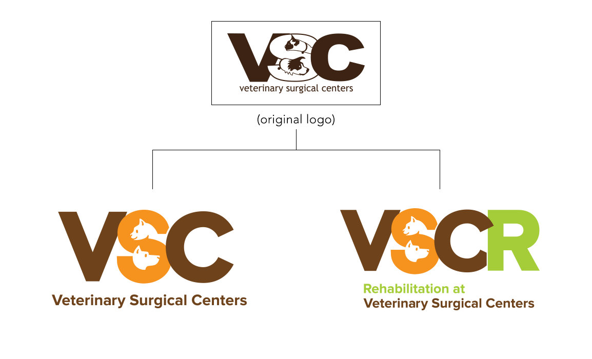 VSC_logoRedesign.png