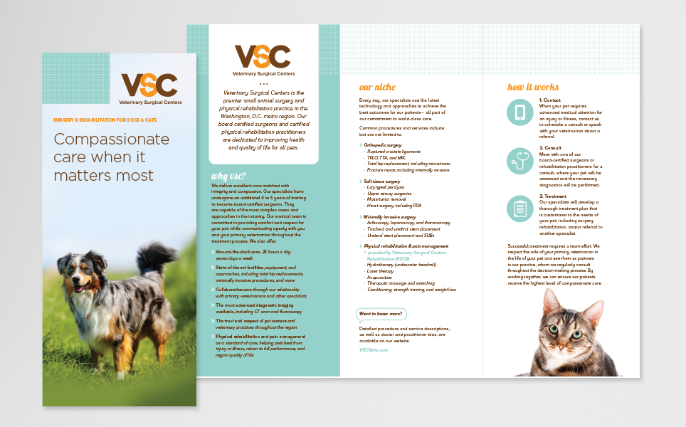 VSC_brochure.png
