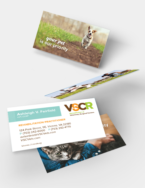 VSC_bizCards_vertical2.png