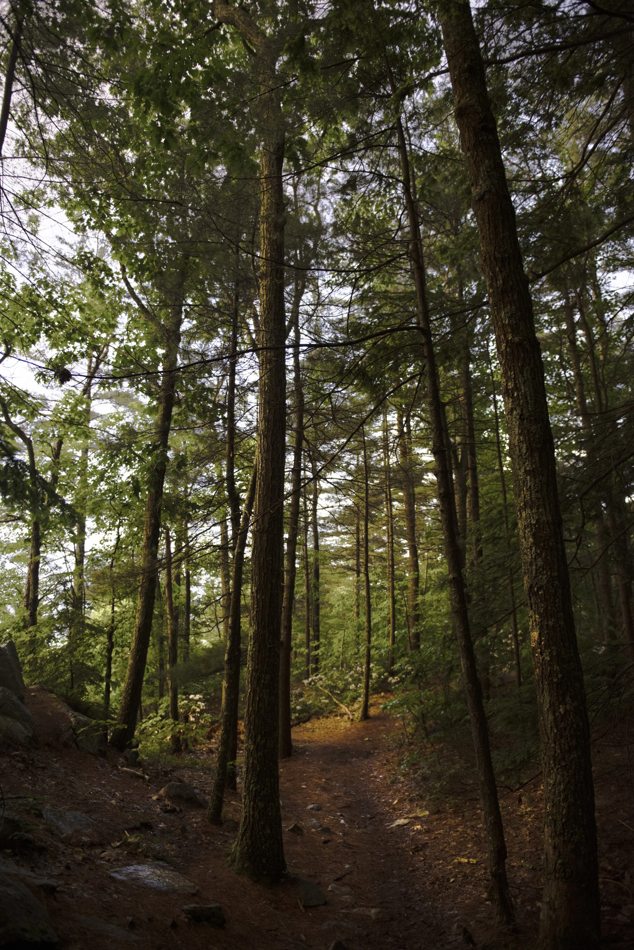DSC_0567-Edit.jpg