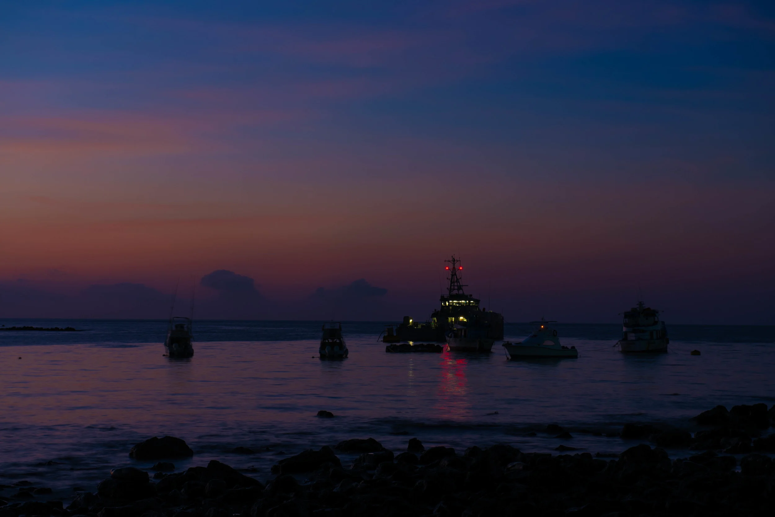 DSC_2650-2.jpg