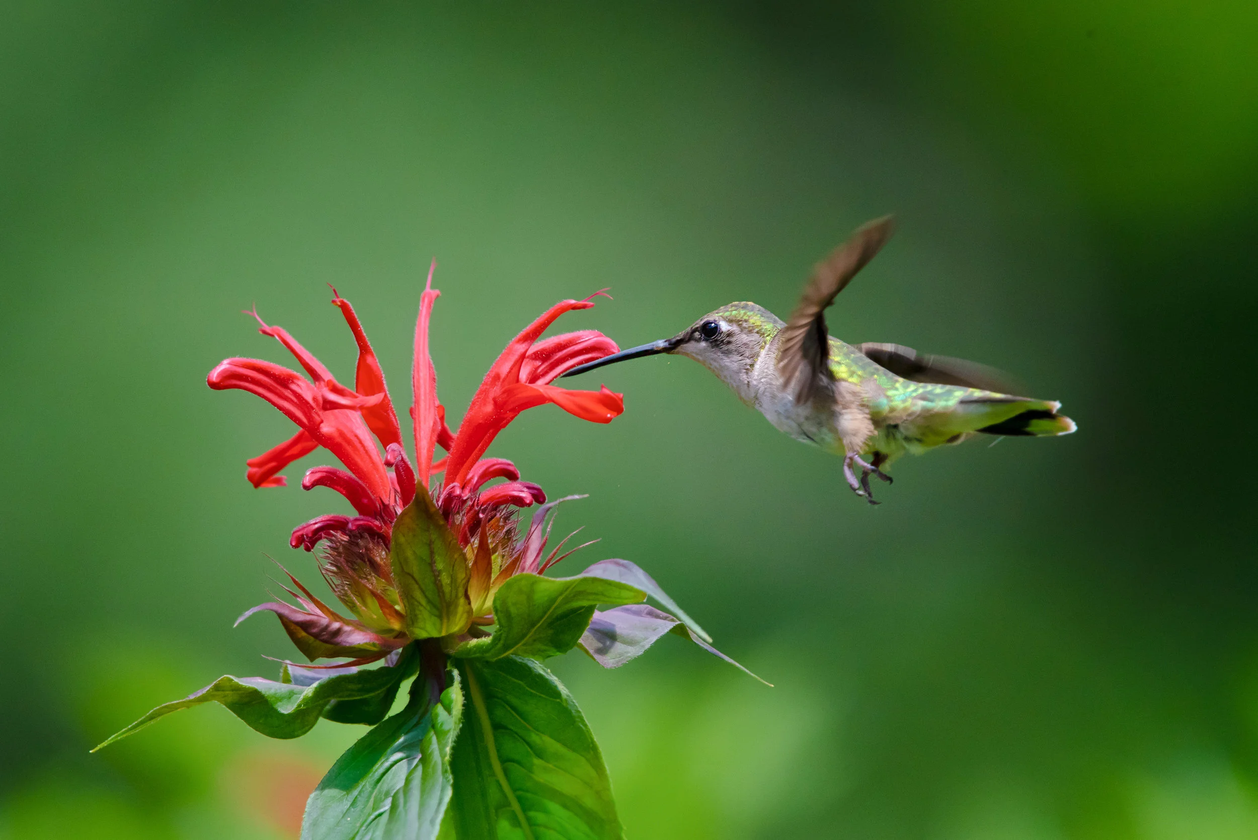 DSC_0793-Edit.jpg