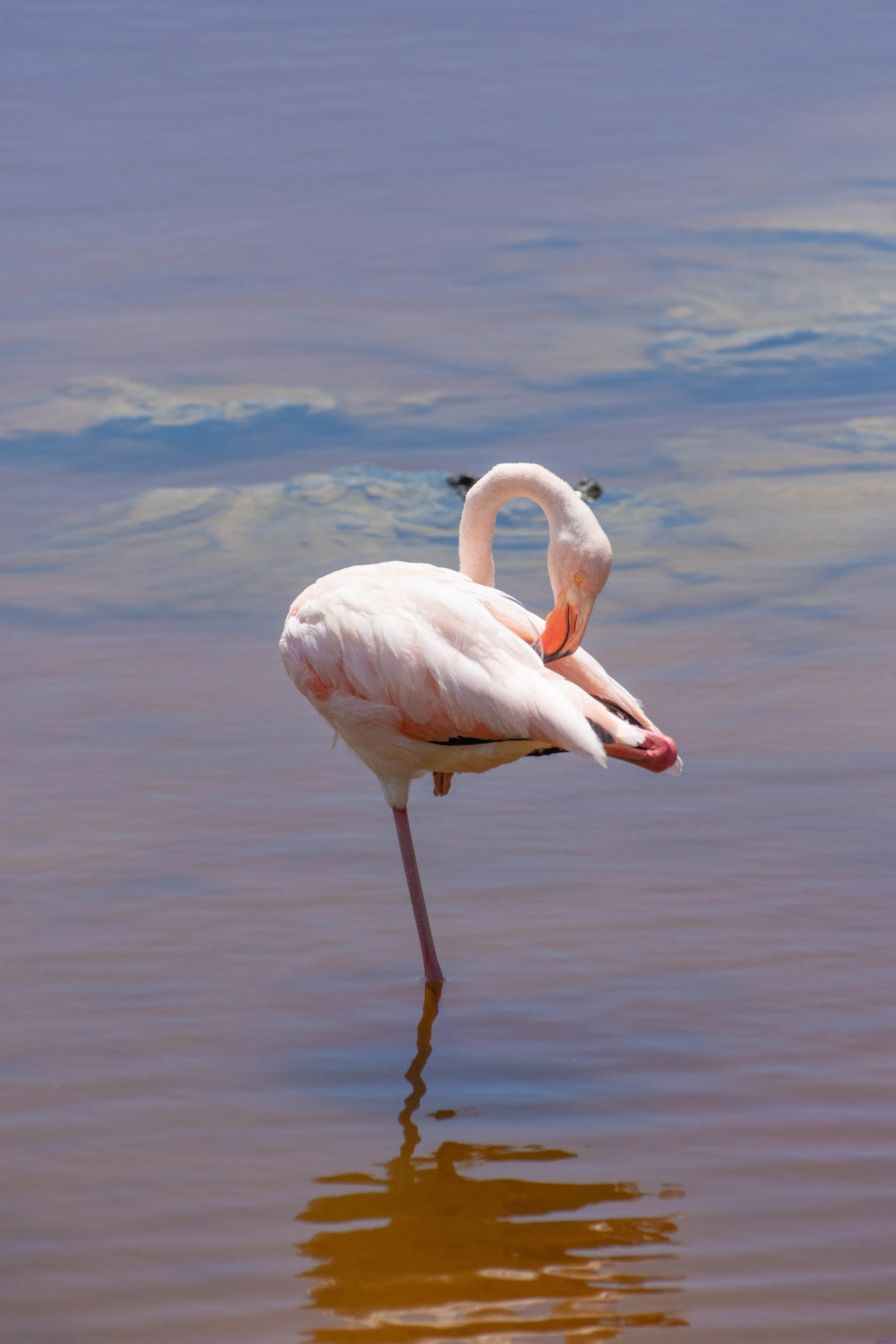 DSC_2318.jpg