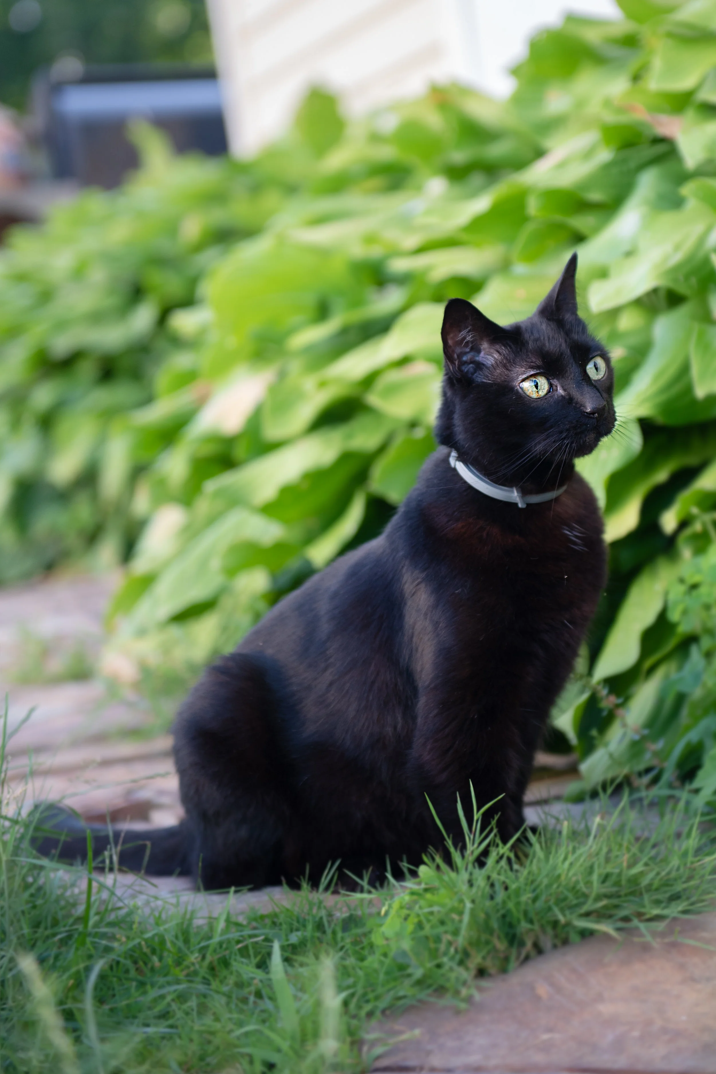 DSC_0979-Edit.jpg