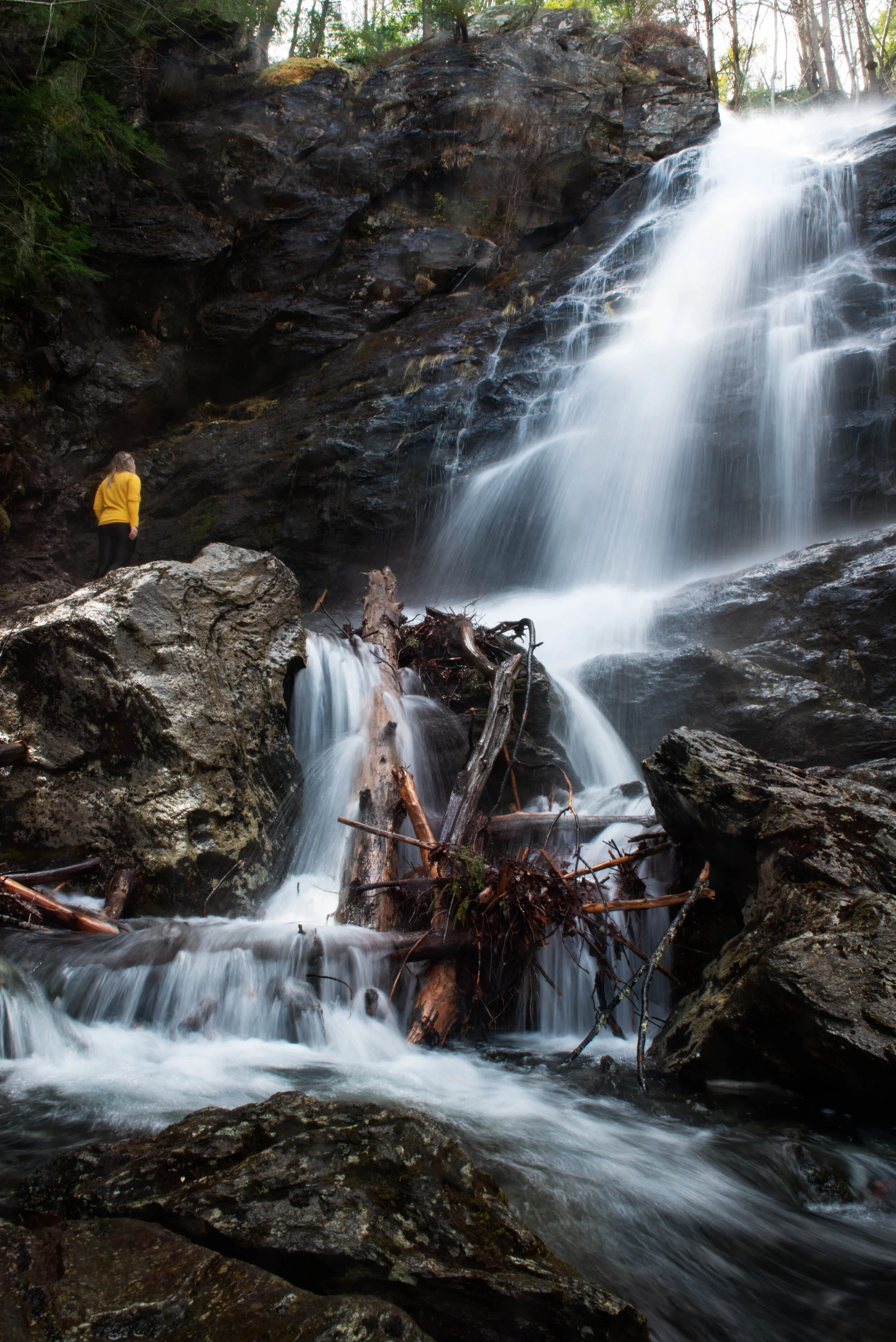 DSC_9381-Edit.jpg