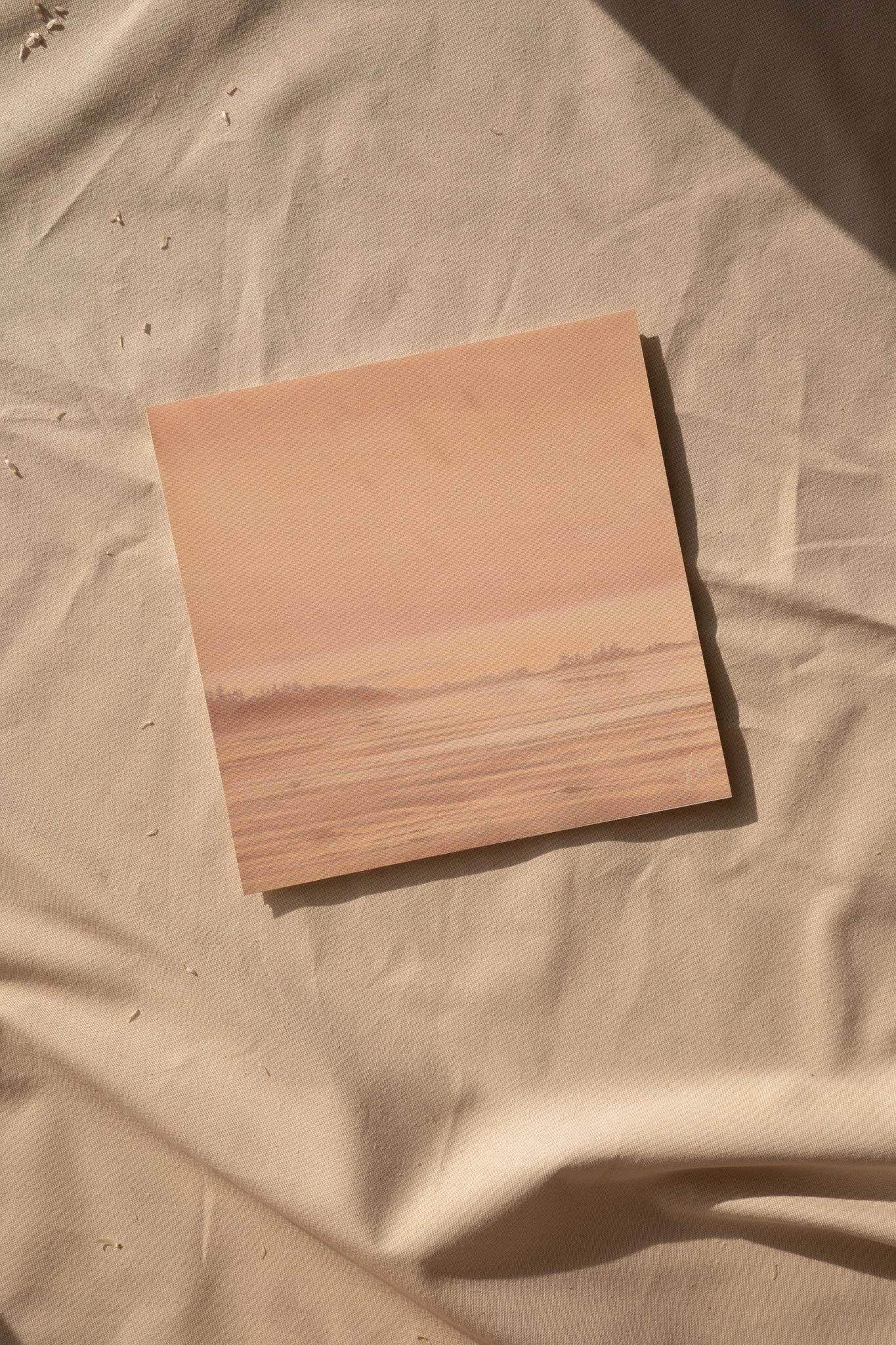 DSCF7046.jpg