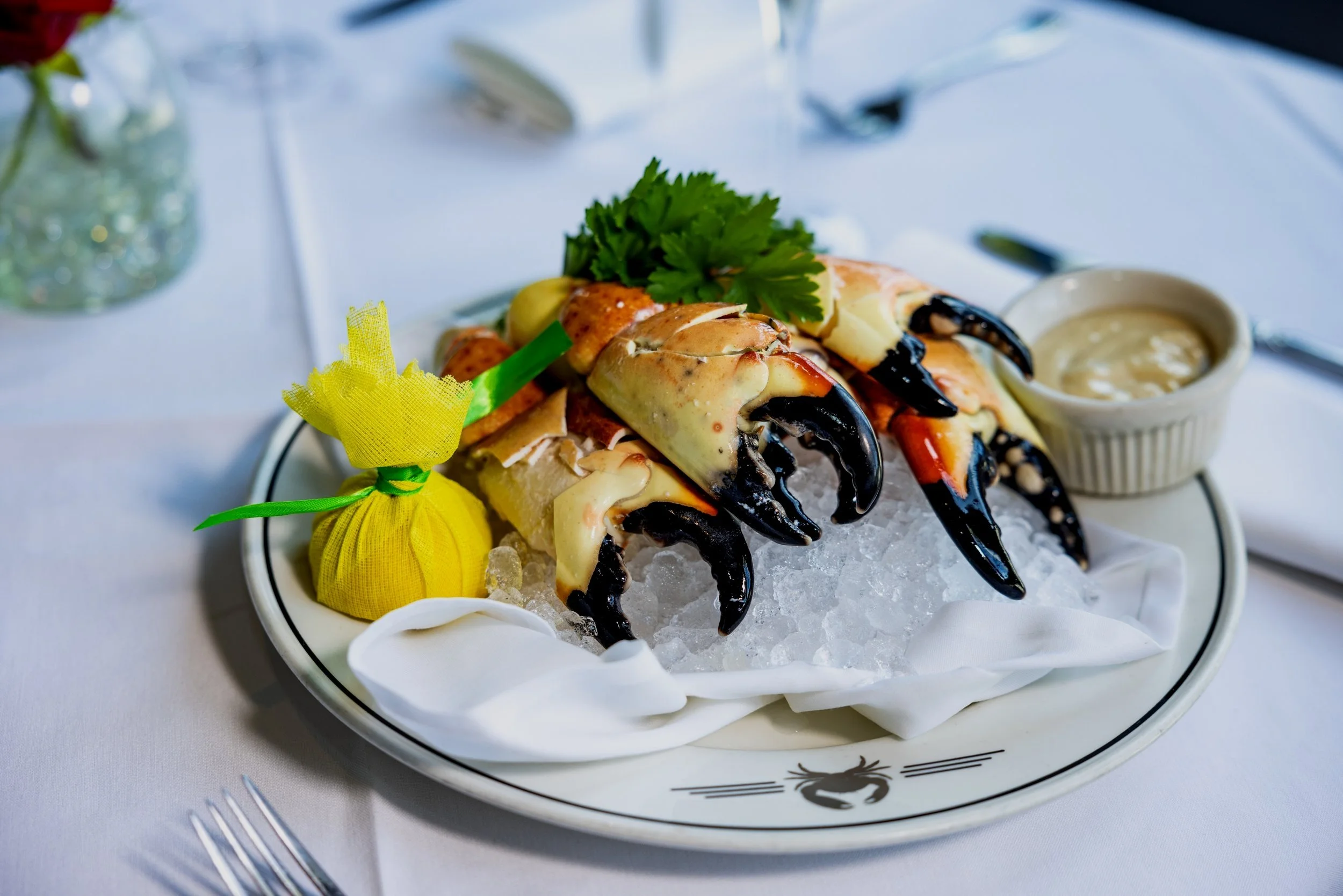 Paradise Coast x Stone Crab 