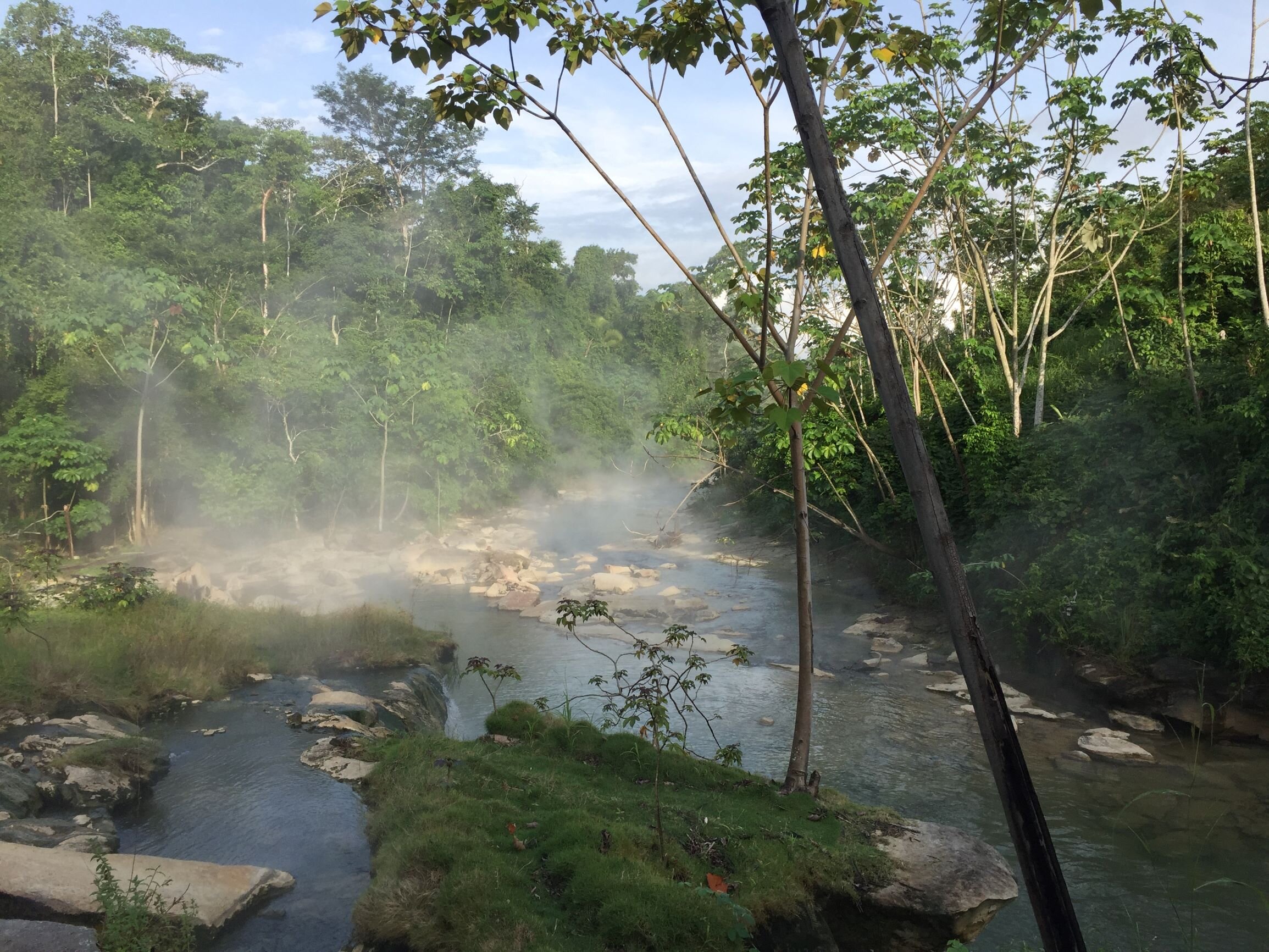 Die heilende Kraft des Urwaldes
