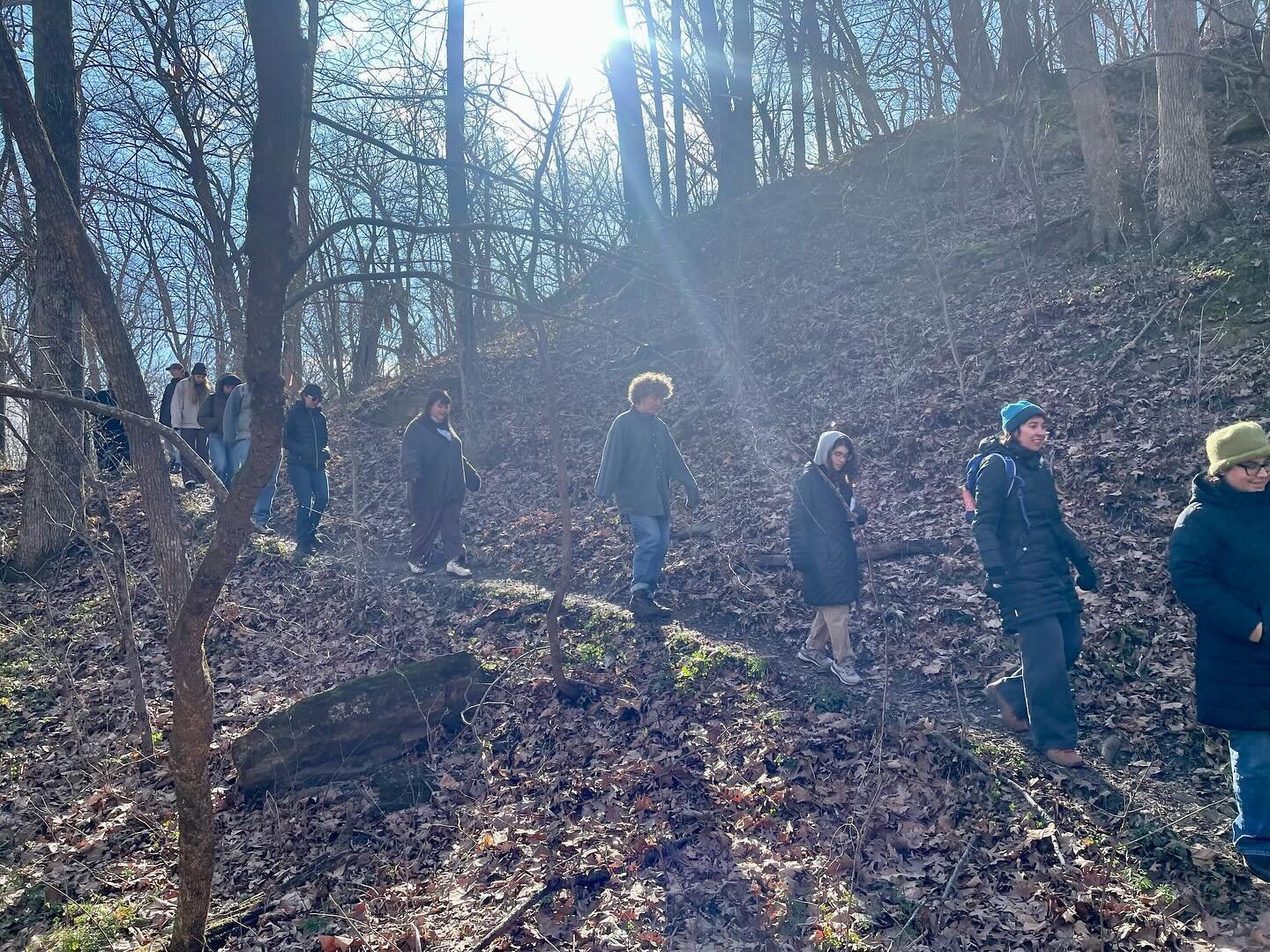 Some better photographs (not by me) of our class visit to Baldwin Woods last week. Soaking up the sun and listening for the wisdom our plant elders have to share 🌱✨