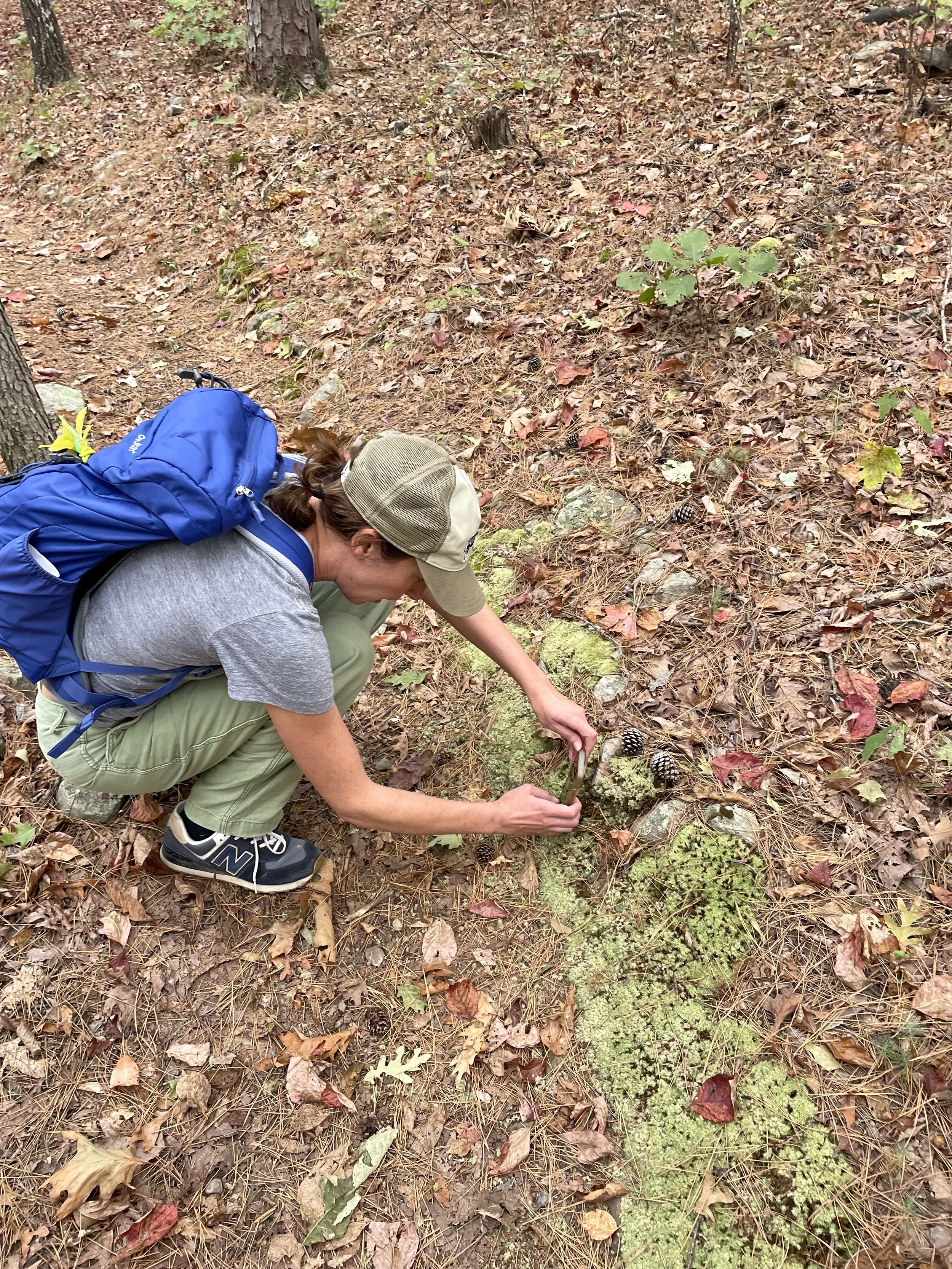 Goodall Visiting Fellow