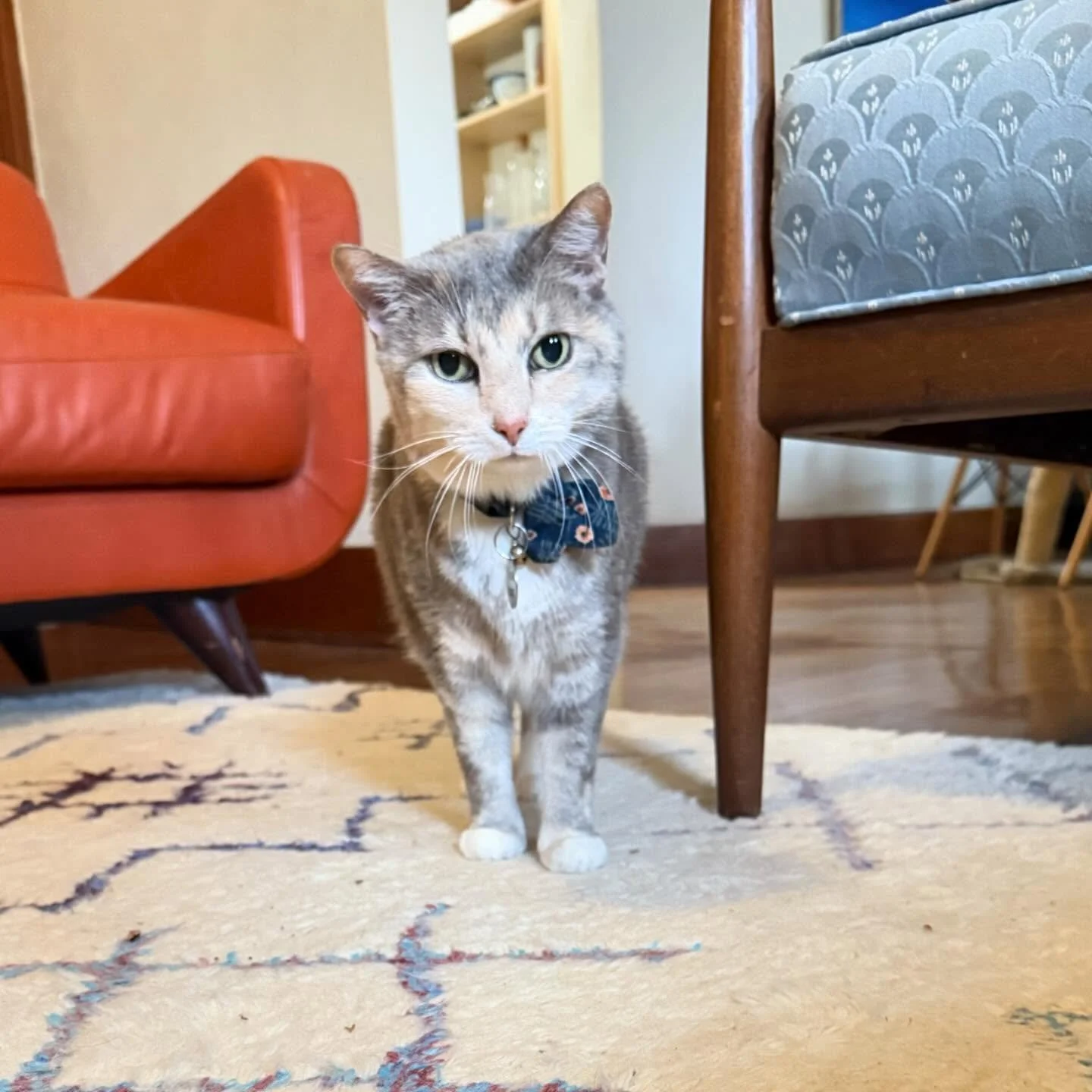 The semester is wrapping this week&mdash;final projects celebrated, my office slowly returning to a semblance of order, and a big stack of grading ahead. These past few months have been full: students planting a sensory garden at Watson Library, conv