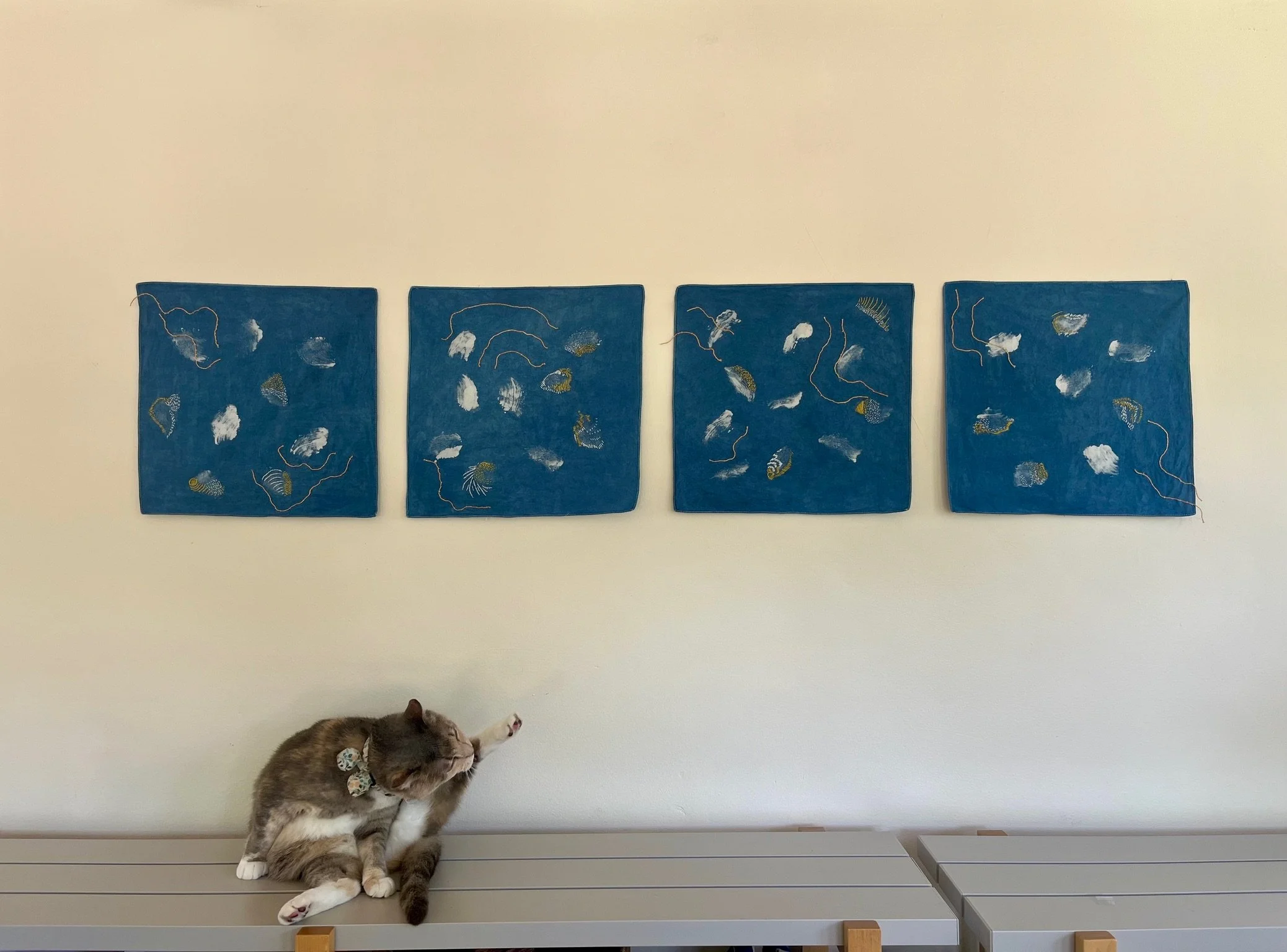 Traces, Upland combshell (Epioblasma metastriata).
Common Area Maintenance Gallery. Seattle, WA (2026)



