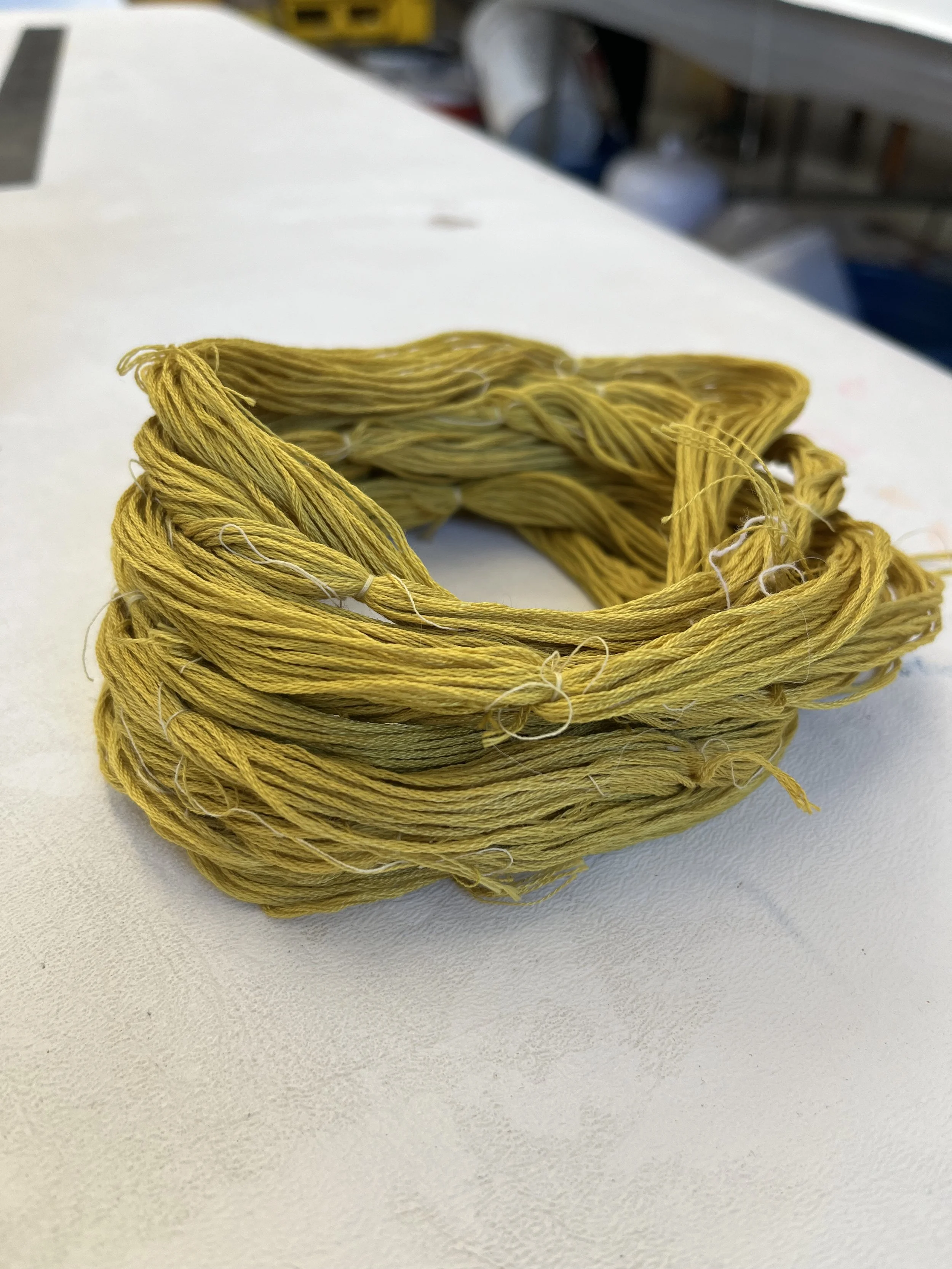 Embroidery floss dyed with leadplant (Amorpha canescens)