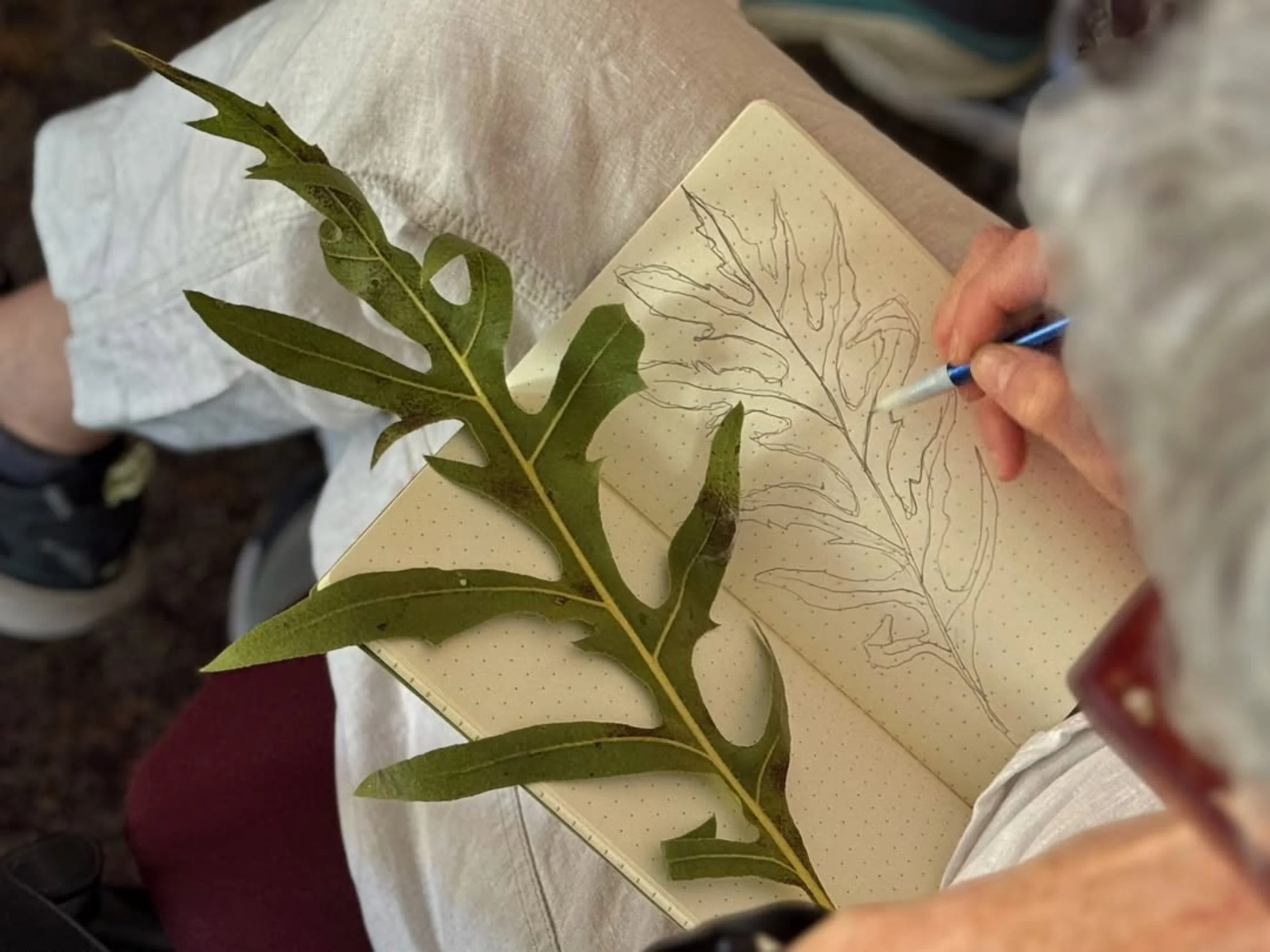 Science Sundays Listening to Place: The Art and Ecology of the Tallgrass Prairie (2025)